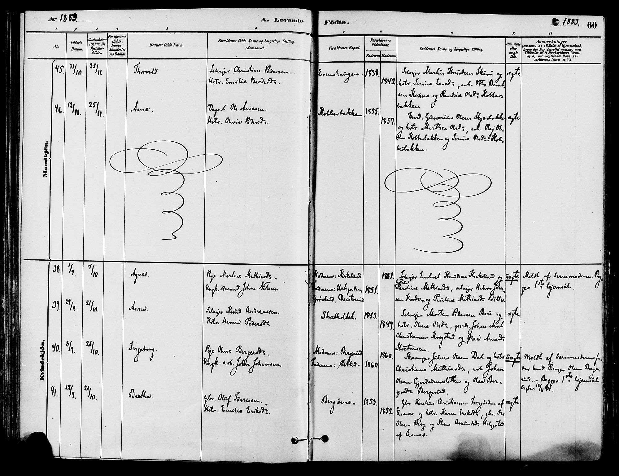 Våler prestekontor, Hedmark, AV/SAH-PREST-040/H/Ha/Haa/L0002: Ministerialbok nr. 3, 1879-1911, s. 60