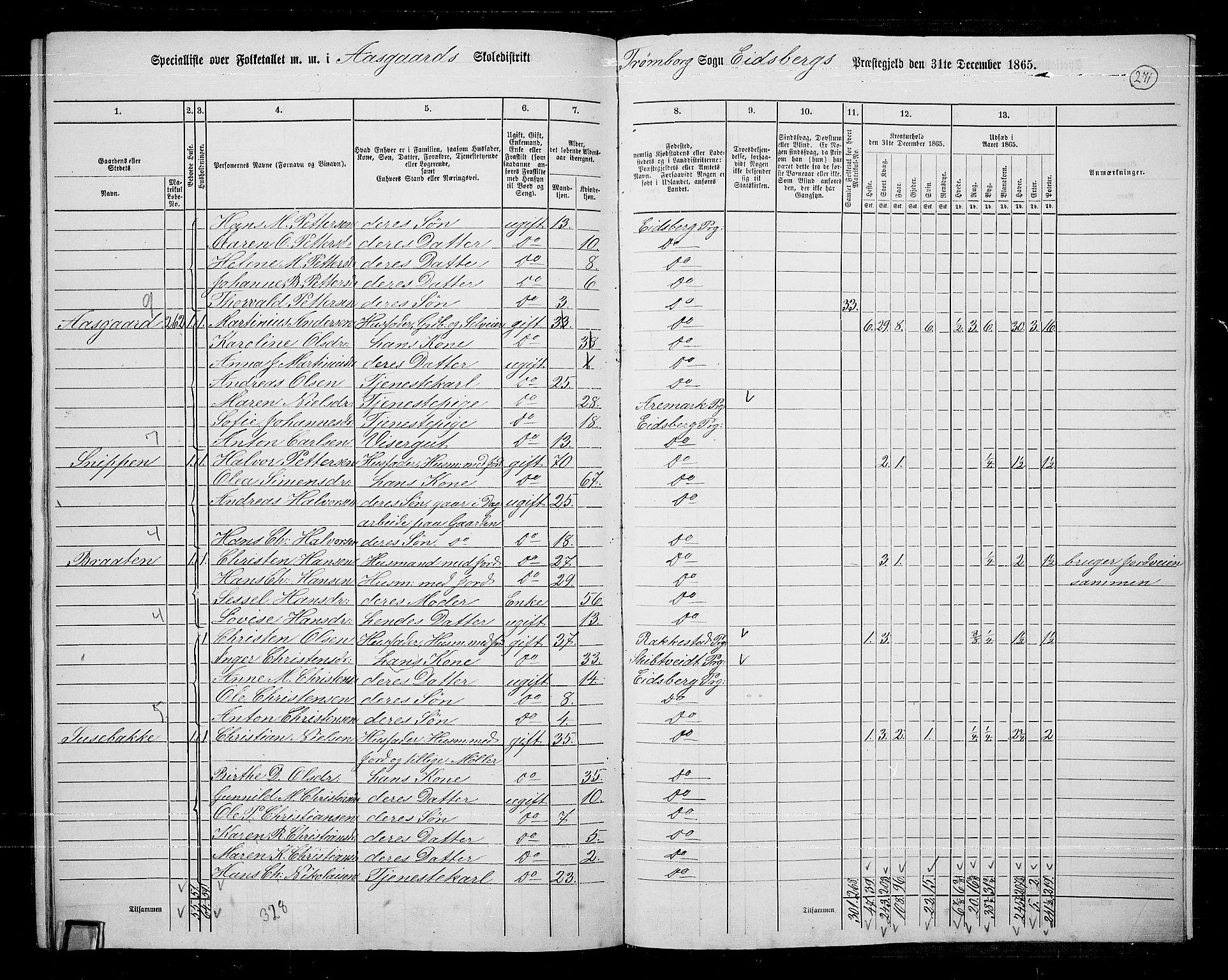 RA, Folketelling 1865 for 0125P Eidsberg prestegjeld, 1865, s. 247