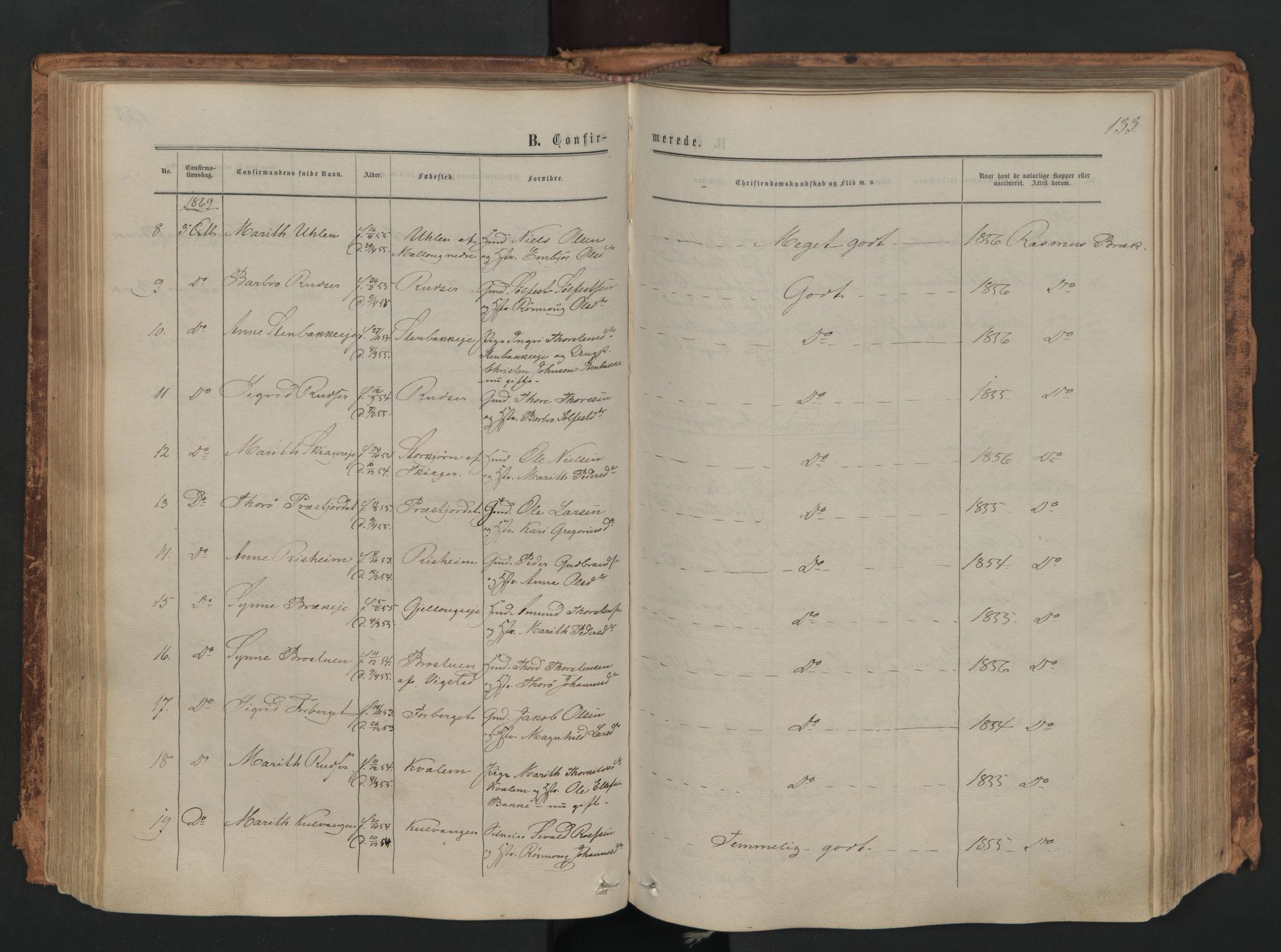 Skjåk prestekontor, AV/SAH-PREST-072/H/Ha/Haa/L0001: Ministerialbok nr. 1, 1863-1879, s. 133