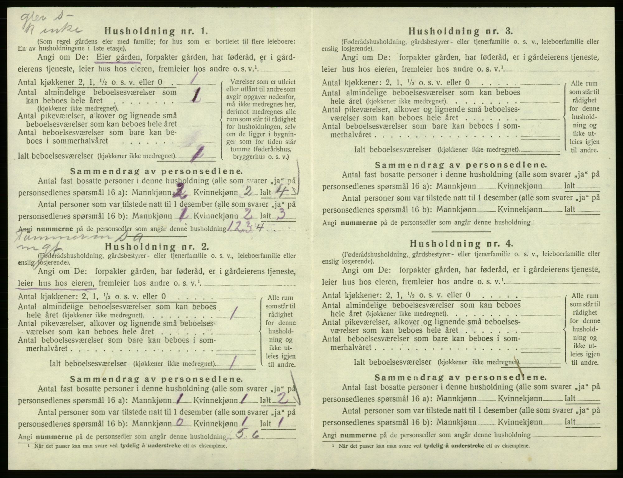 SAB, Folketelling 1920 for 1239 Hålandsdal herred, 1920, s. 91