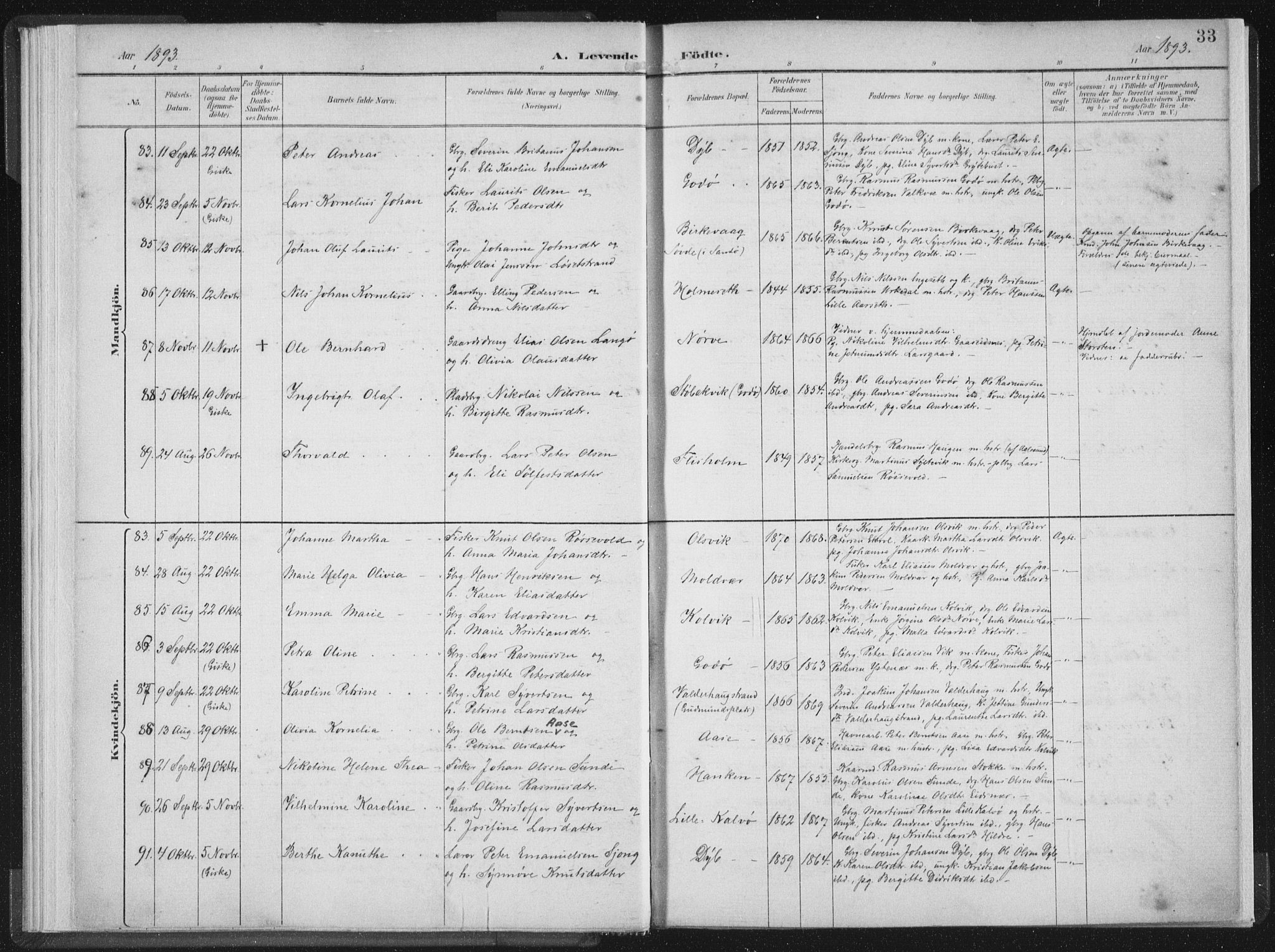 Ministerialprotokoller, klokkerbøker og fødselsregistre - Møre og Romsdal, AV/SAT-A-1454/528/L0405: Ministerialbok nr. 528A14, 1891-1906, s. 33