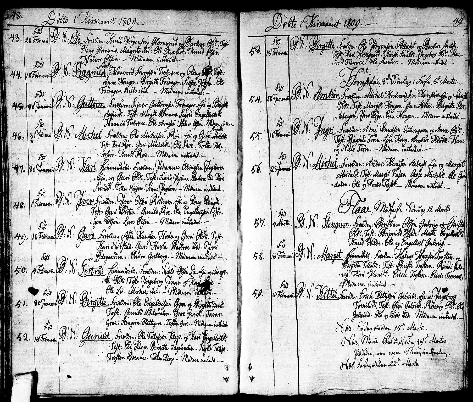Nes kirkebøker, AV/SAKO-A-236/F/Fa/L0006: Ministerialbok nr. 6, 1808-1814, s. 48-49