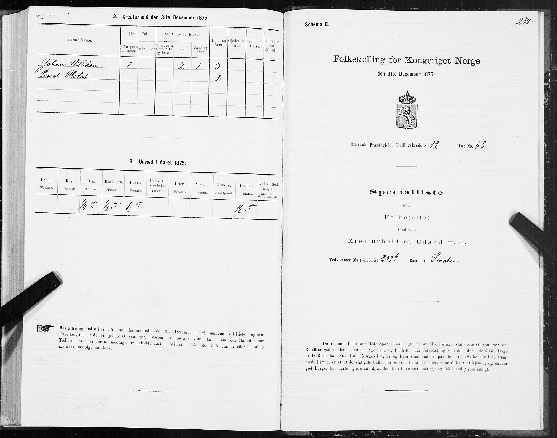 SAT, Folketelling 1875 for 1638P Orkdal prestegjeld, 1875, s. 6238