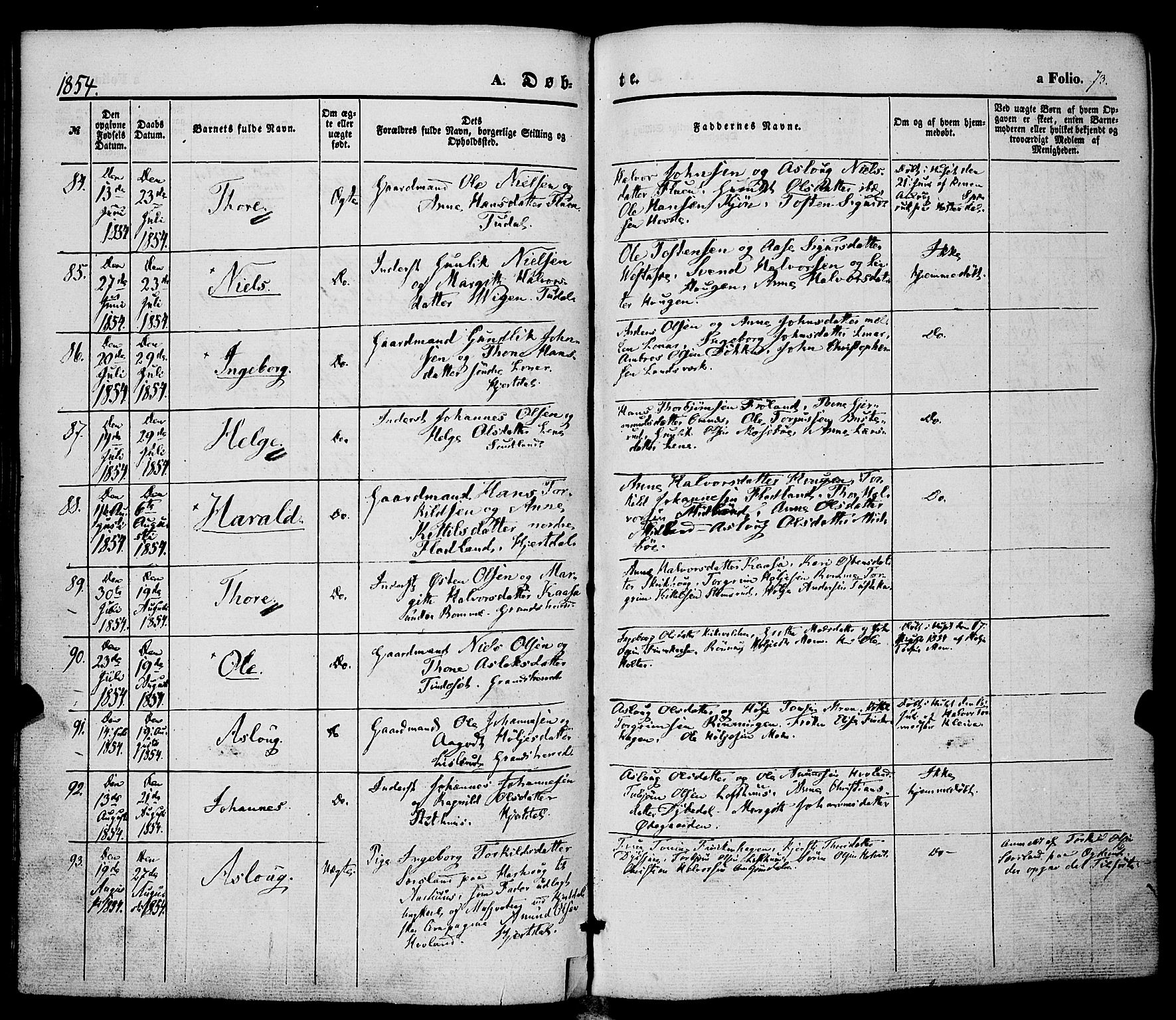Hjartdal kirkebøker, AV/SAKO-A-270/F/Fa/L0008: Ministerialbok nr. I 8, 1844-1859, s. 73