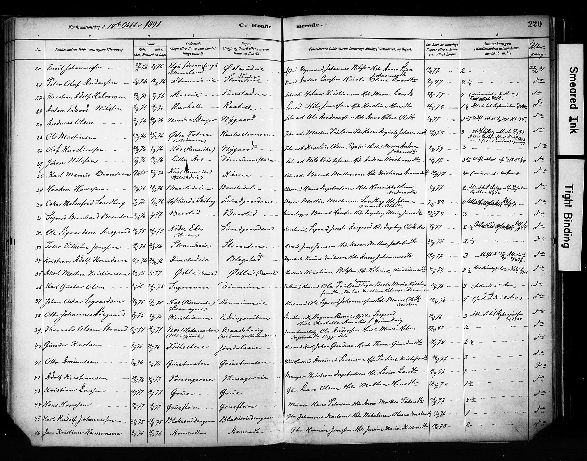 Eidsvoll prestekontor Kirkebøker, AV/SAO-A-10888/F/Fa/L0002: Ministerialbok nr. I 2, 1882-1895, s. 220