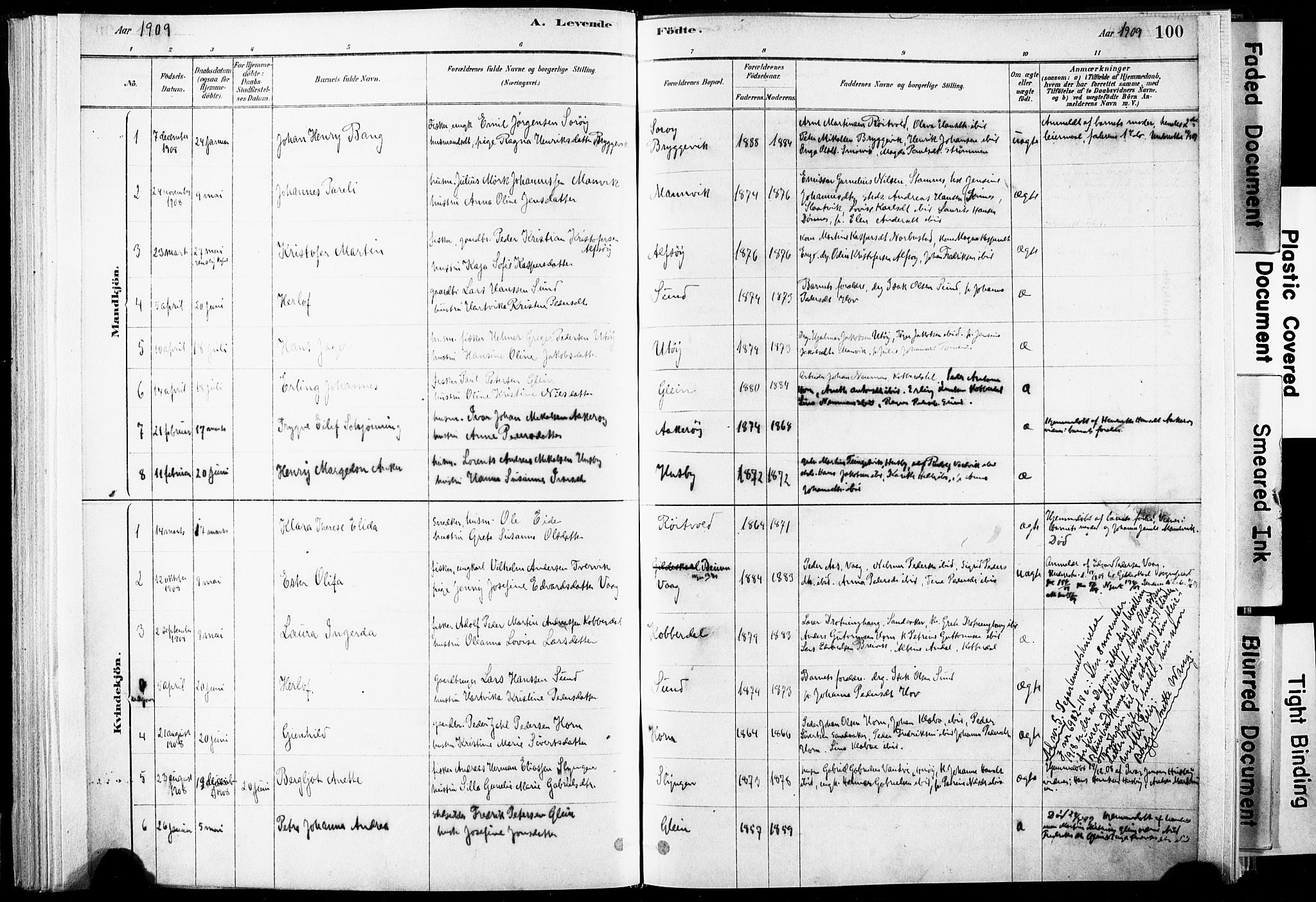 Ministerialprotokoller, klokkerbøker og fødselsregistre - Nordland, AV/SAT-A-1459/835/L0525: Ministerialbok nr. 835A03I, 1881-1910, s. 100