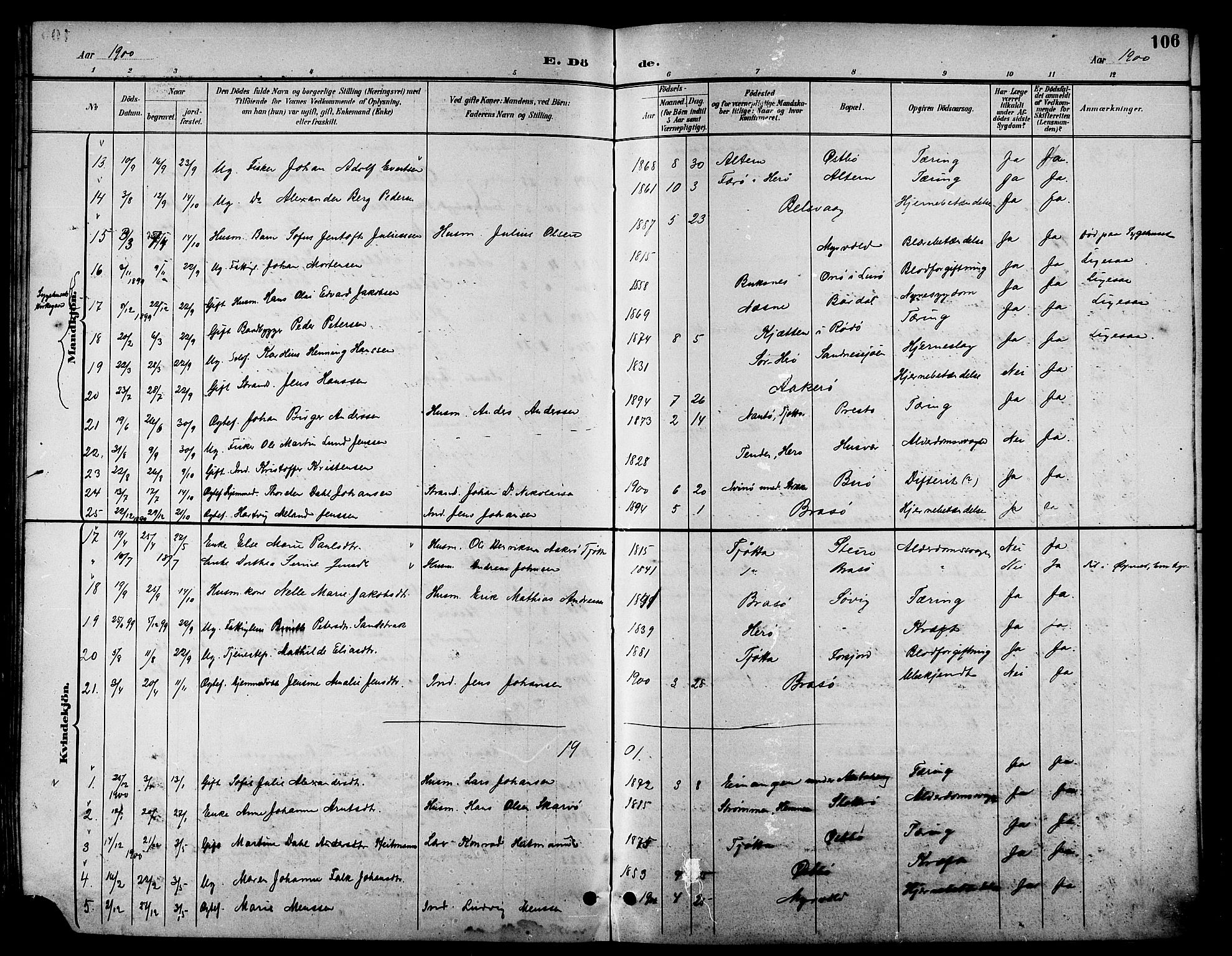 Ministerialprotokoller, klokkerbøker og fødselsregistre - Nordland, SAT/A-1459/830/L0463: Klokkerbok nr. 830C05, 1895-1906, s. 106