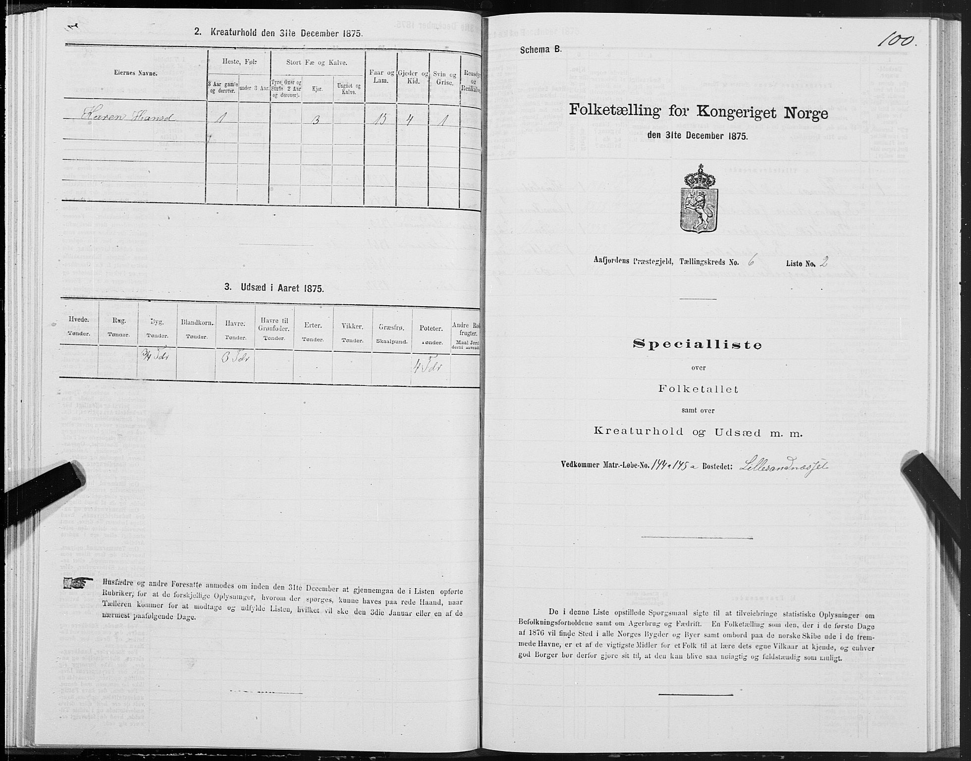 SAT, Folketelling 1875 for 1630P Aafjorden prestegjeld, 1875, s. 3100