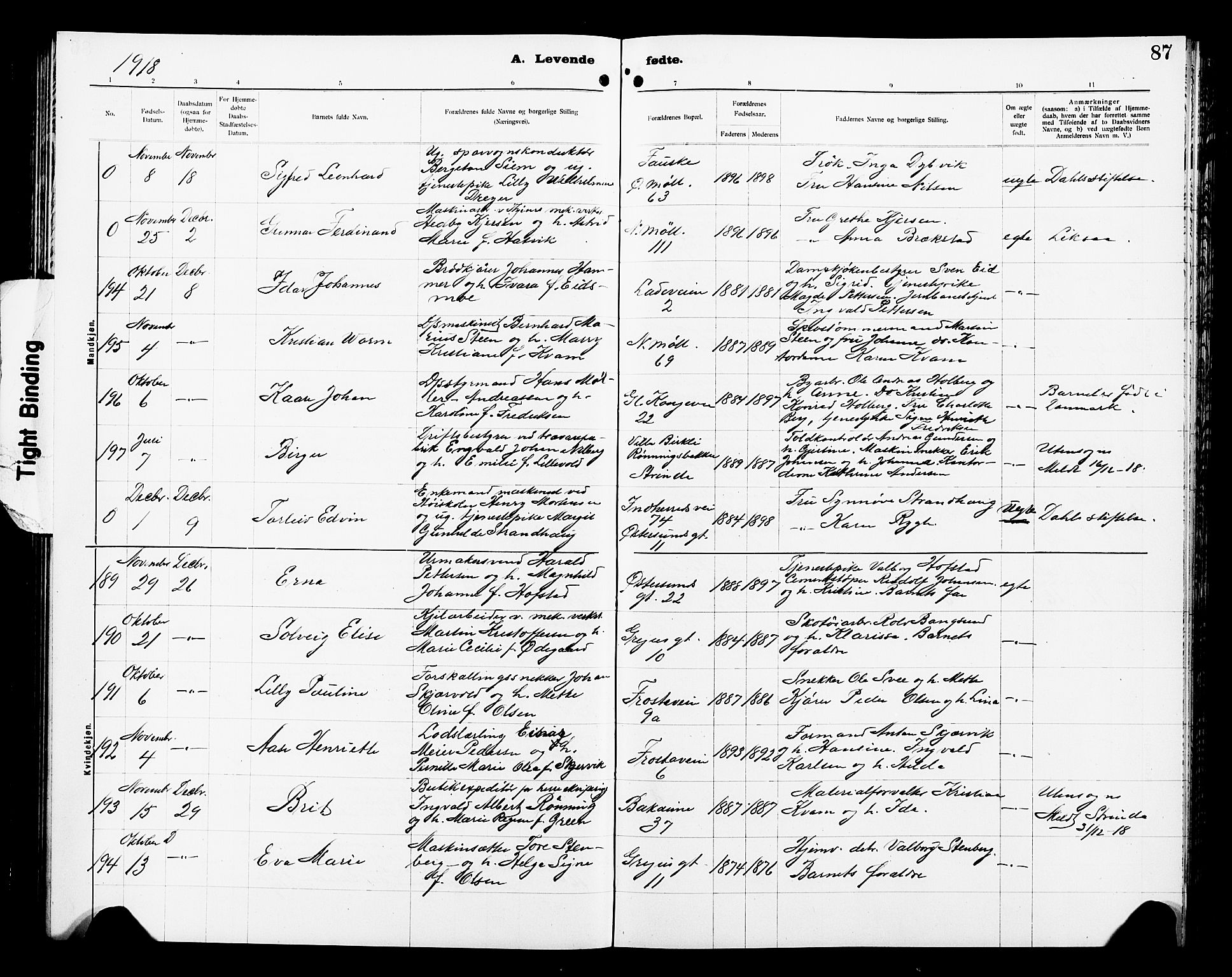 Ministerialprotokoller, klokkerbøker og fødselsregistre - Sør-Trøndelag, AV/SAT-A-1456/605/L0256: Klokkerbok nr. 605C03, 1916-1920, s. 87