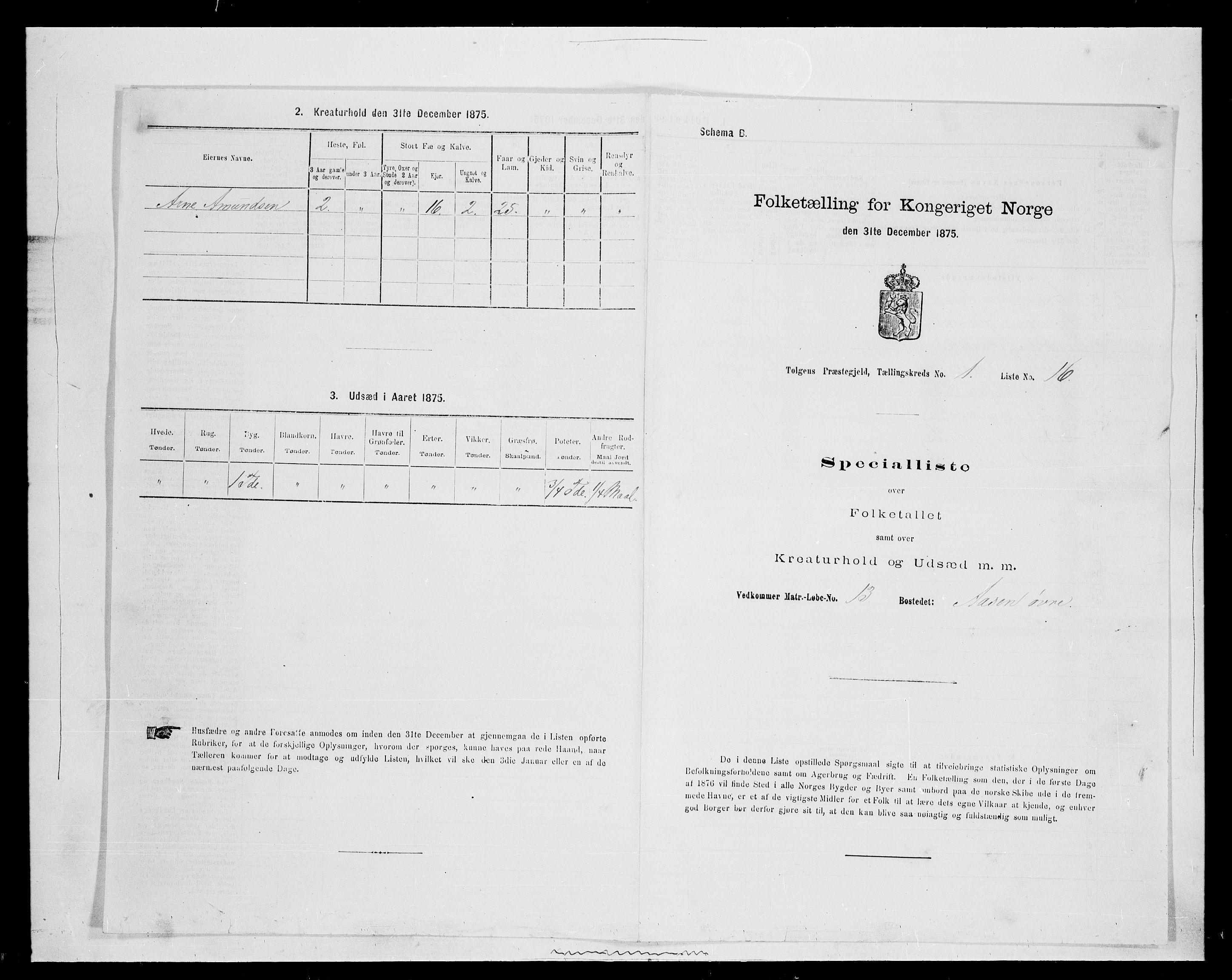 SAH, Folketelling 1875 for 0436P Tolga prestegjeld, 1875, s. 240