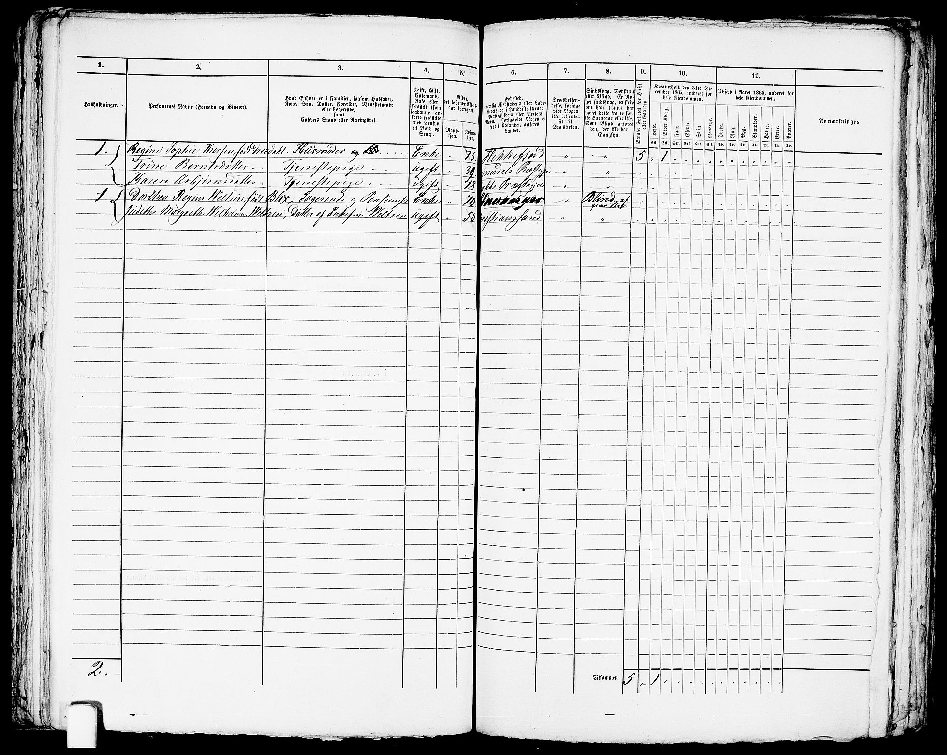 RA, Folketelling 1865 for 1004B Flekkefjord prestegjeld, Flekkefjord kjøpstad, 1865, s. 215