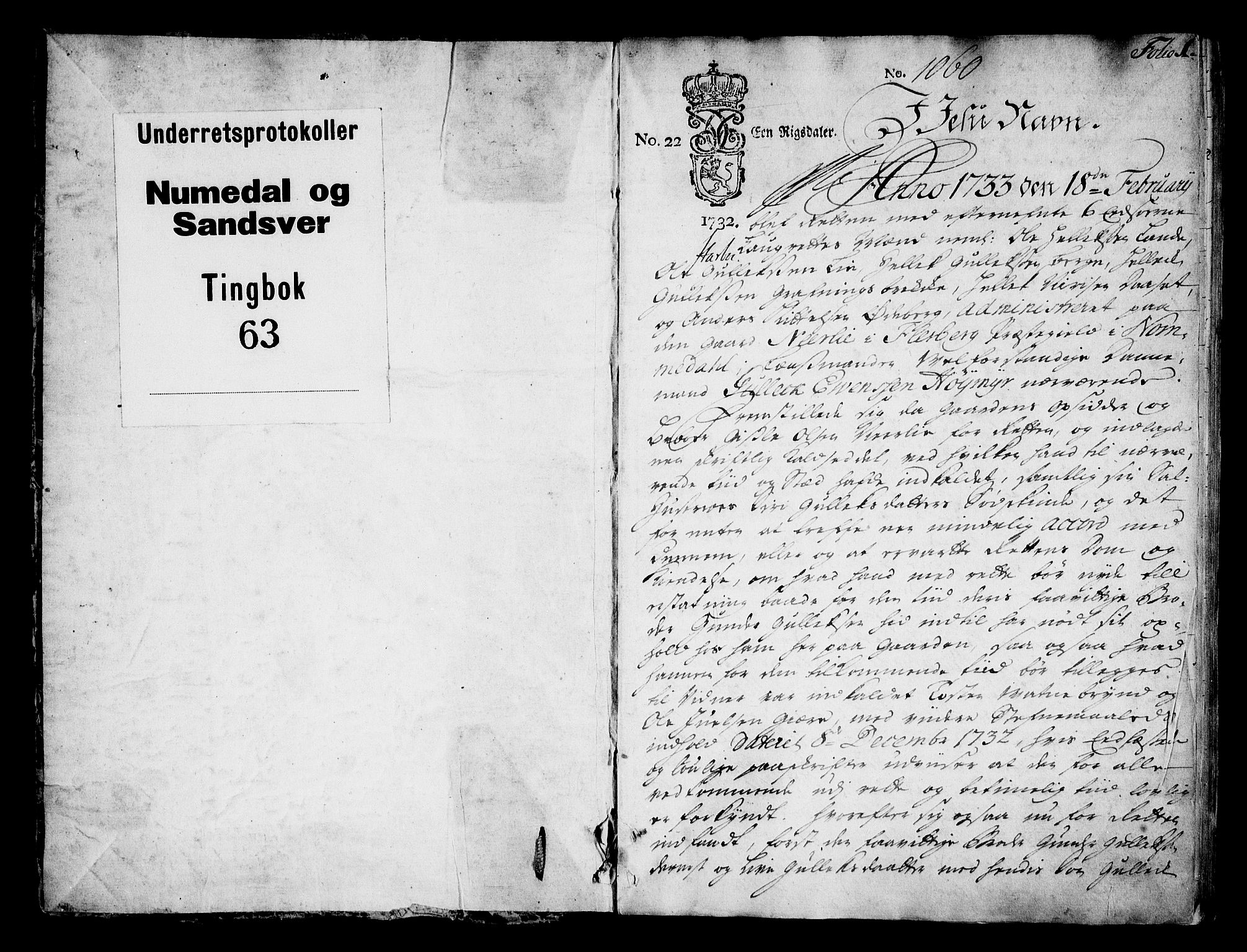 Numedal og Sandsvær sorenskriveri, AV/SAKO-A-128/F/Fa/Faa/L0063: Tingbok, 1733, s. 0b-1a