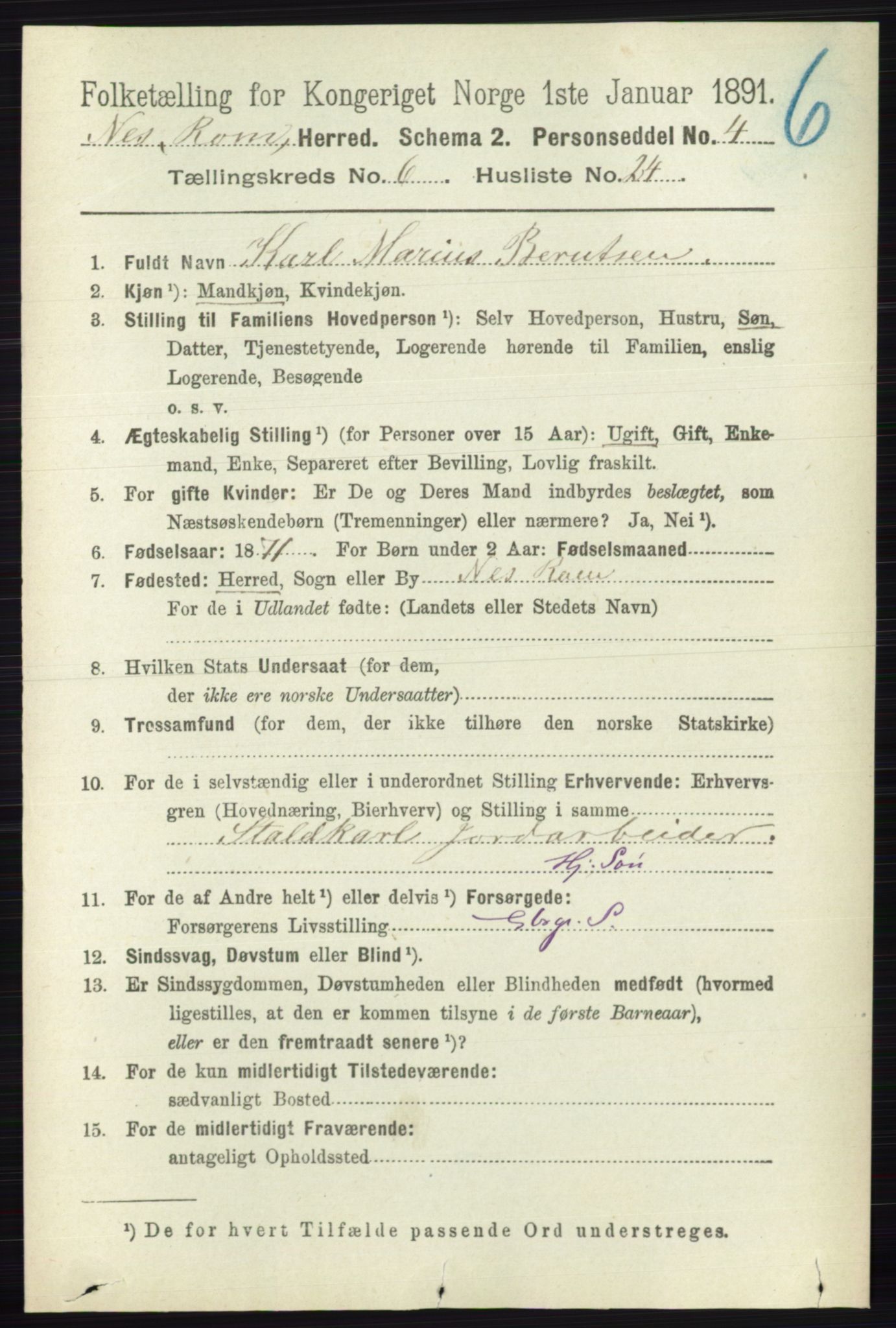 RA, Folketelling 1891 for 0236 Nes herred, 1891, s. 3521
