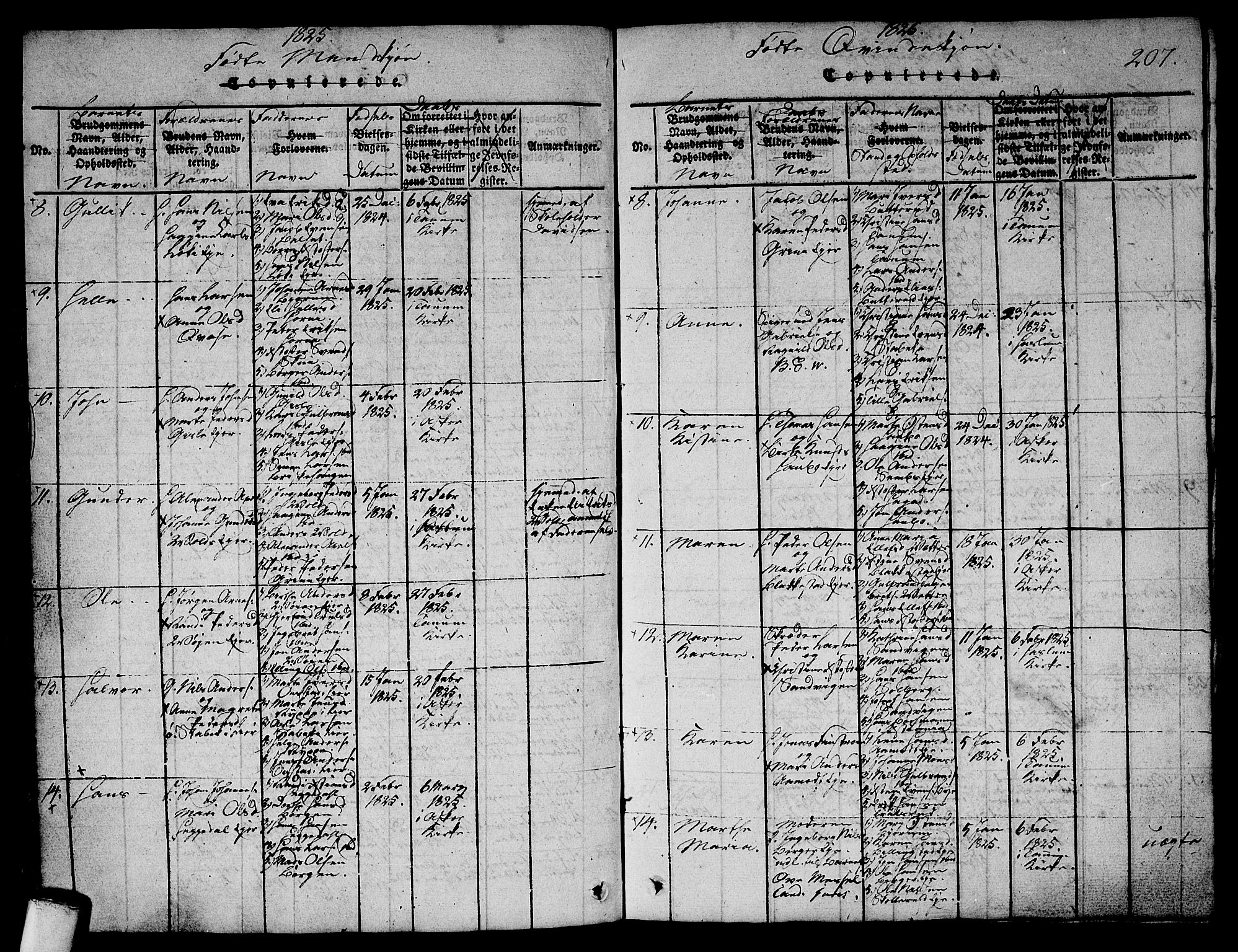 Asker prestekontor Kirkebøker, AV/SAO-A-10256a/G/Ga/L0001: Klokkerbok nr. I 1, 1814-1830, s. 207