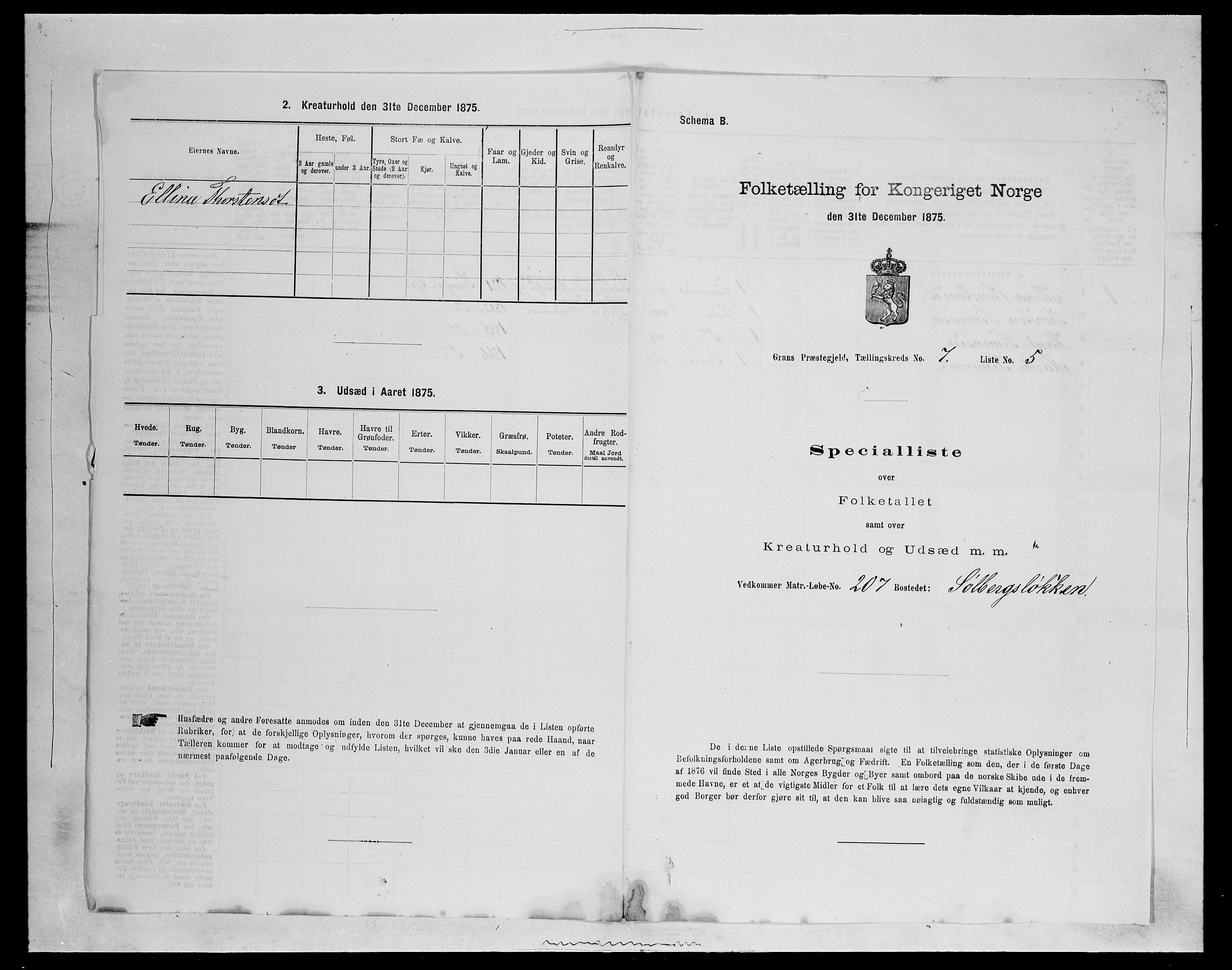 SAH, Folketelling 1875 for 0534P Gran prestegjeld, 1875, s. 1176