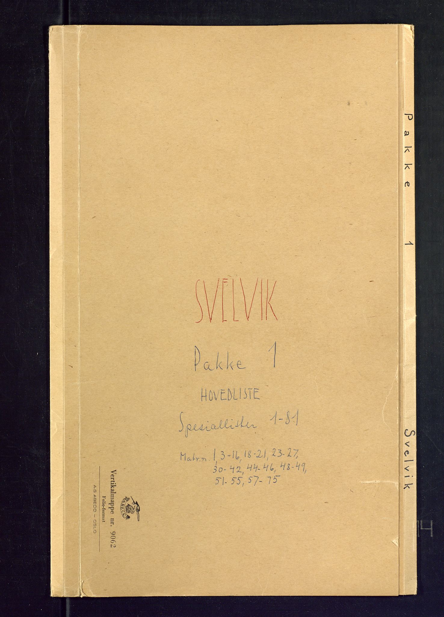 SAKO, Folketelling 1875 for 0701B Strømm prestegjeld, Svelvik ladested, 1875, s. 1