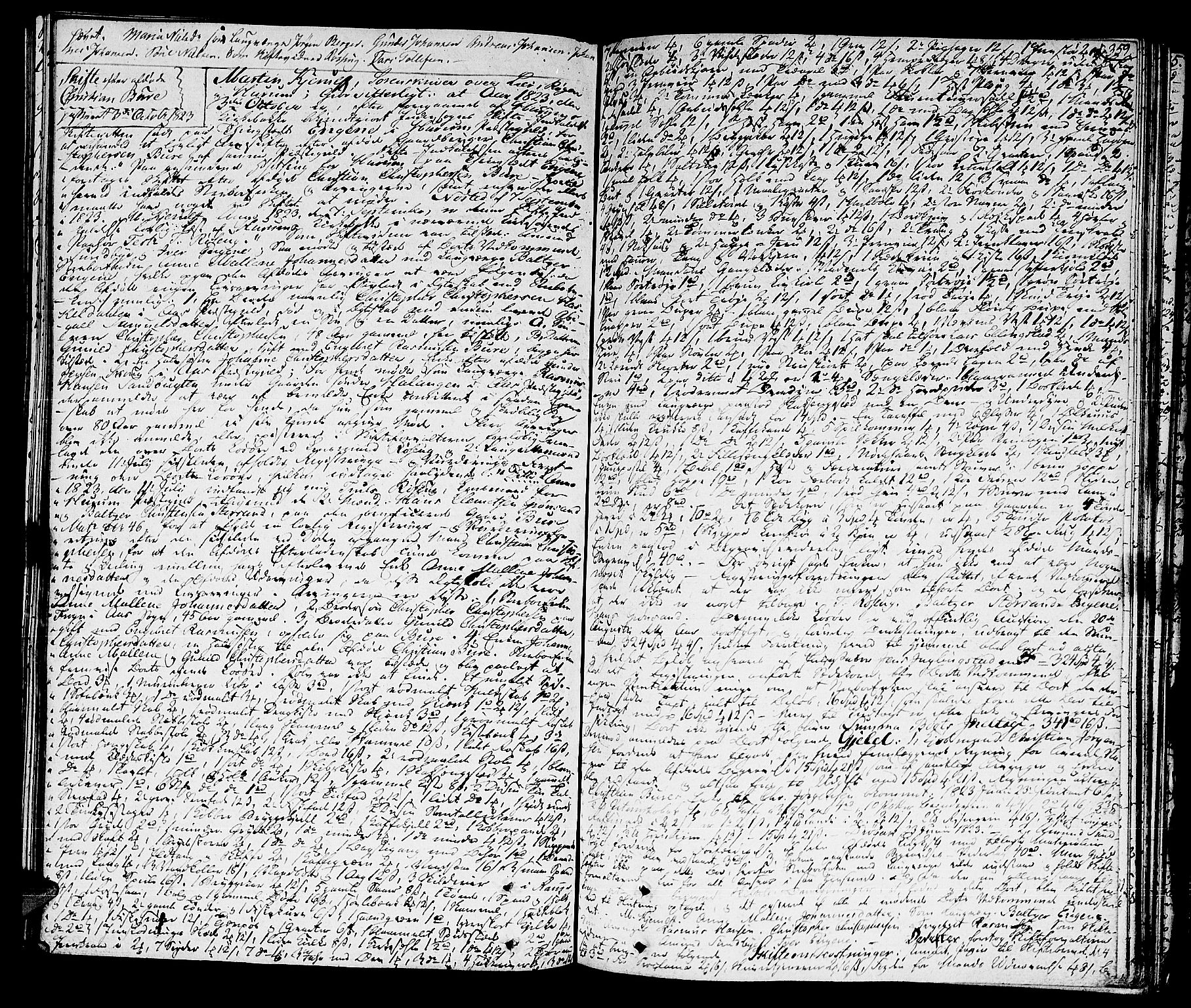Lier, Røyken og Hurum sorenskriveri, SAKO/A-89/H/Hc/L0010a: Skifteprotokoll, 1813-1835, s. 358b-359a