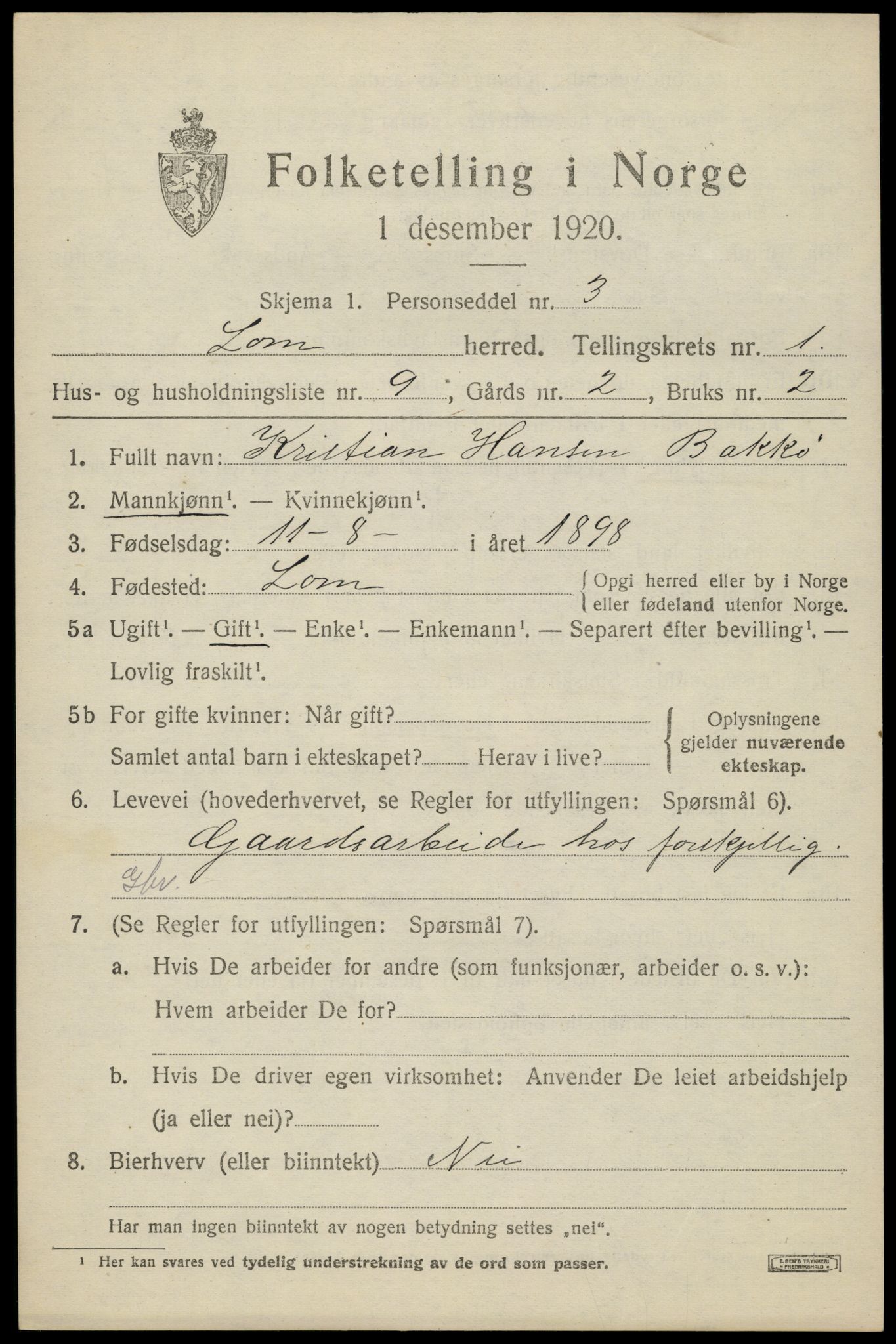 SAH, Folketelling 1920 for 0514 Lom herred, 1920, s. 1040