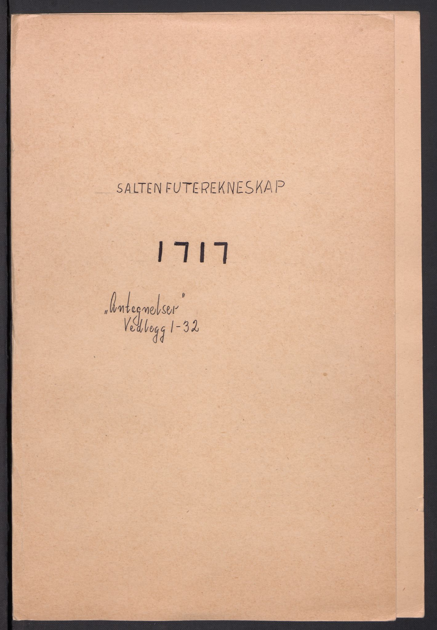 Rentekammeret inntil 1814, Reviderte regnskaper, Fogderegnskap, RA/EA-4092/R66/L4587: Fogderegnskap Salten, 1717, s. 390