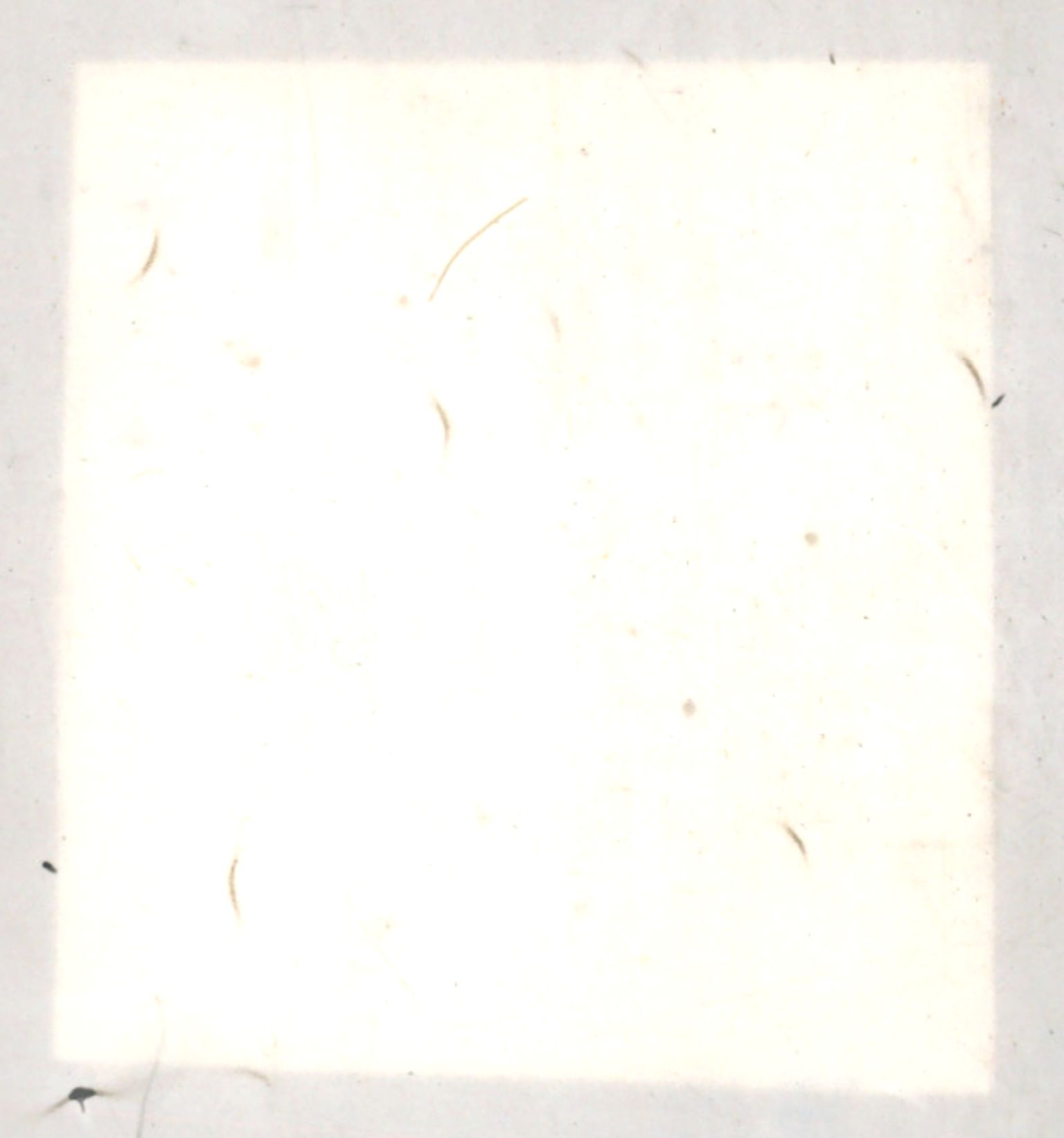 Møre og Romsdal vegkontor - Ålesund trafikkstasjon, AV/SAT-A-4099/F/Fe/L0039: Registreringskort for kjøretøy T 13361 - T 13530, 1927-1998, s. 2009