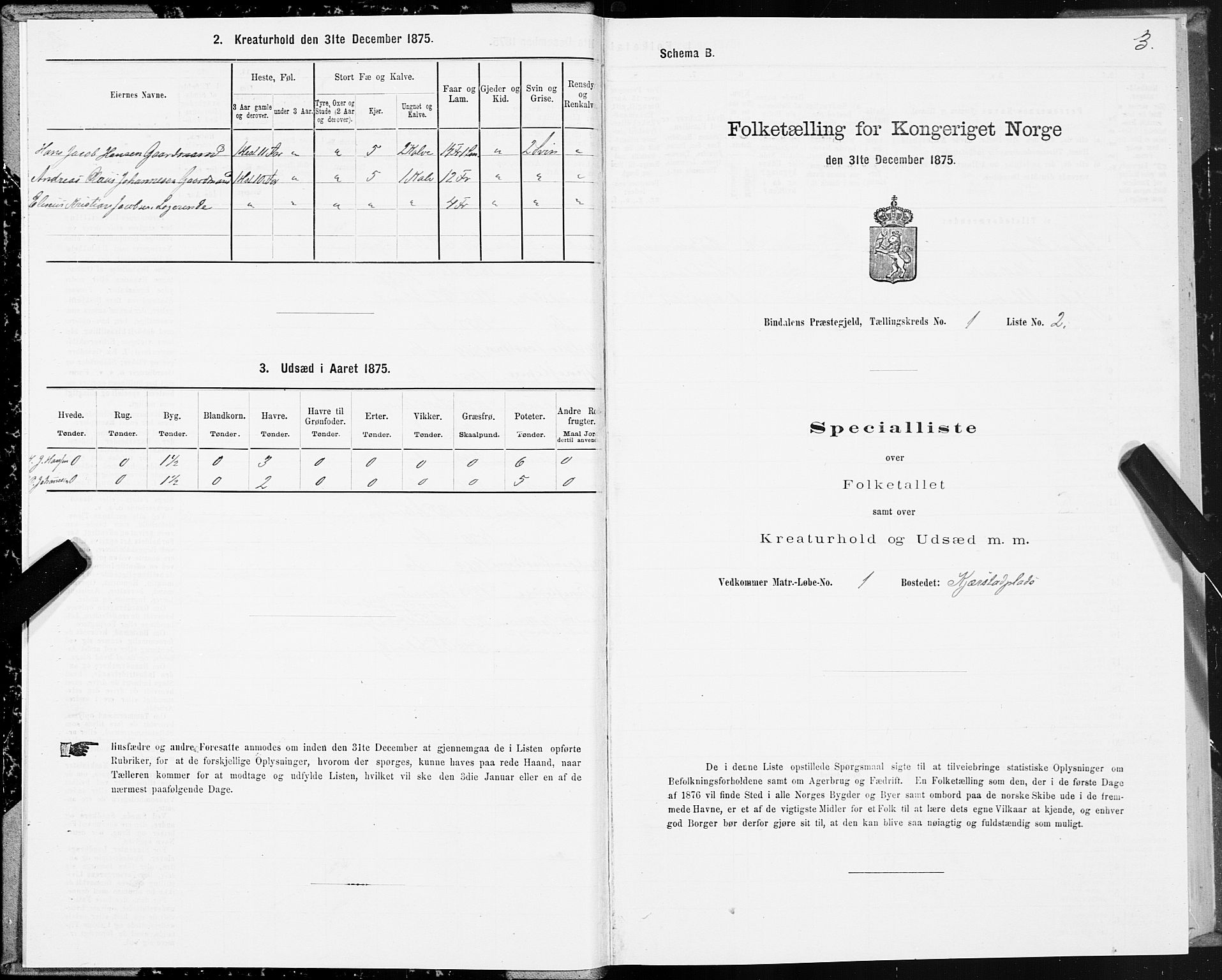 SAT, Folketelling 1875 for 1811P Bindal prestegjeld, 1875, s. 1003