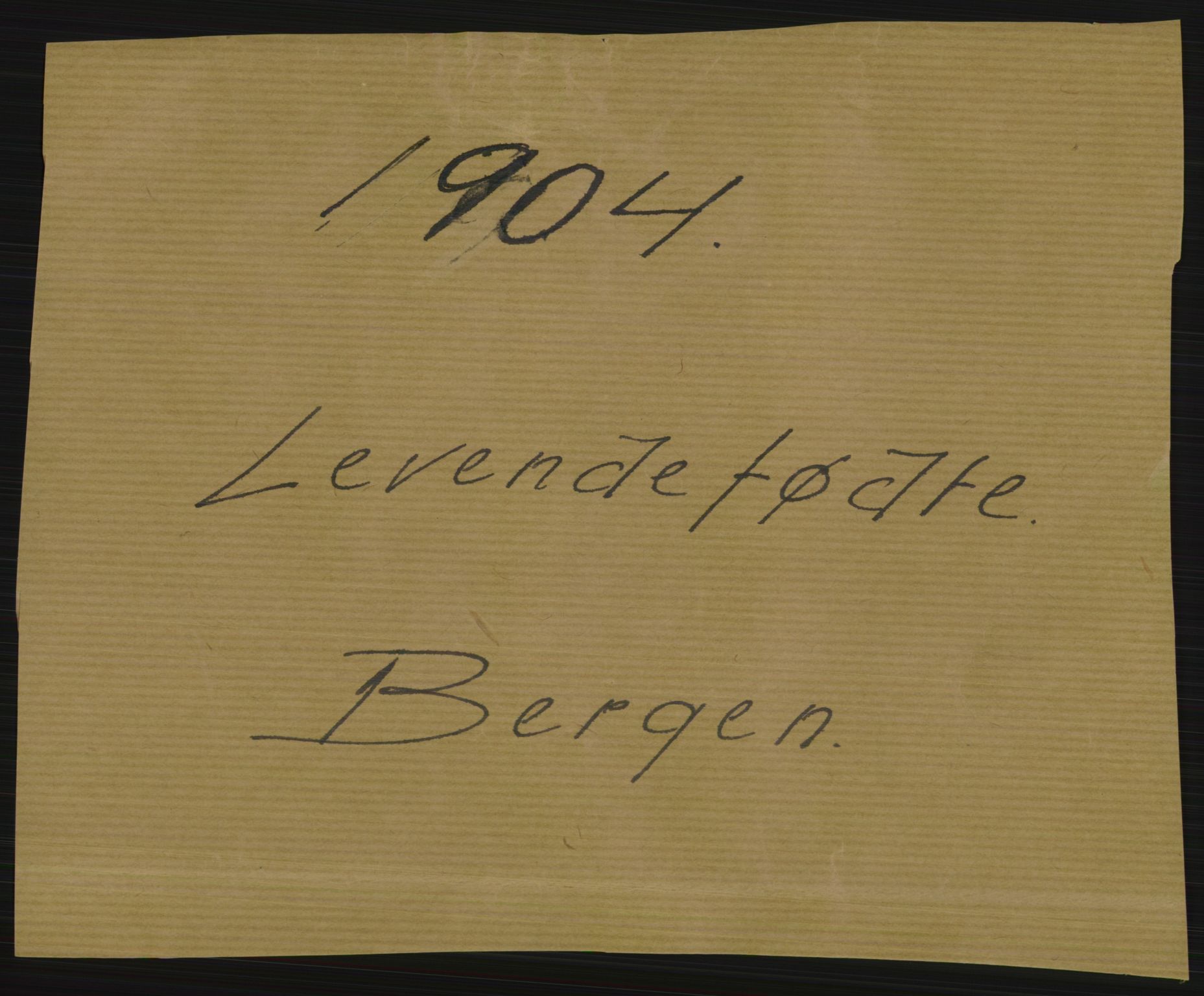 Statistisk sentralbyrå, Sosiodemografiske emner, Befolkning, RA/S-2228/D/Df/Dfa/Dfab/L0014: Bergen: Fødte, gifte, døde, 1904, s. 1