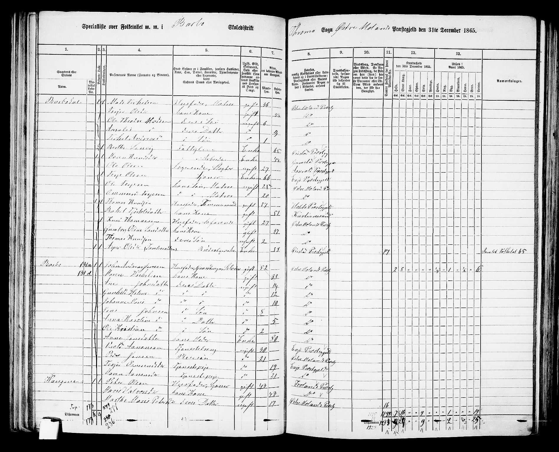 RA, Folketelling 1865 for 0918P Austre Moland prestegjeld, 1865, s. 102