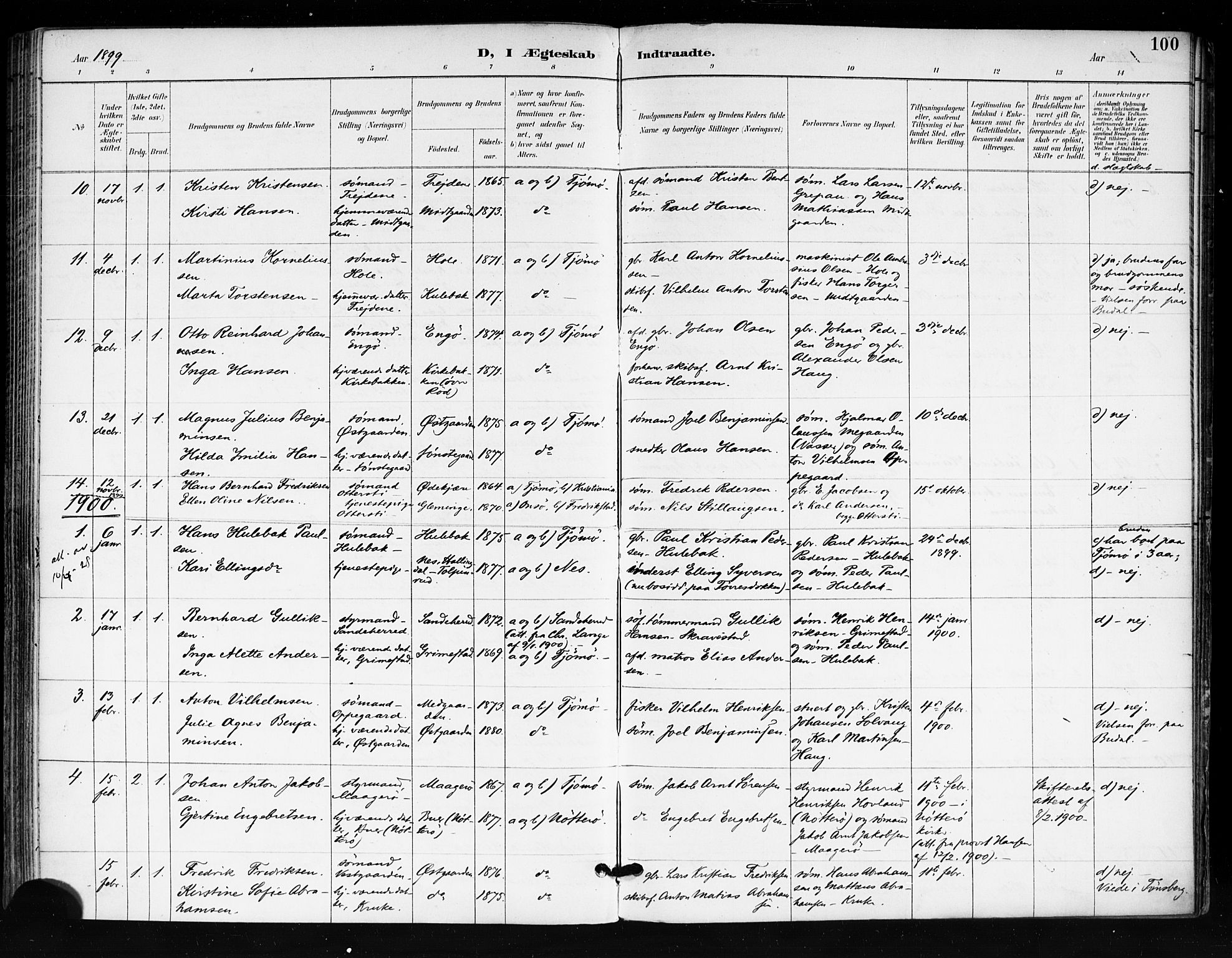 Tjøme kirkebøker, AV/SAKO-A-328/F/Fa/L0003: Ministerialbok nr. I 3, 1891-1900, s. 100