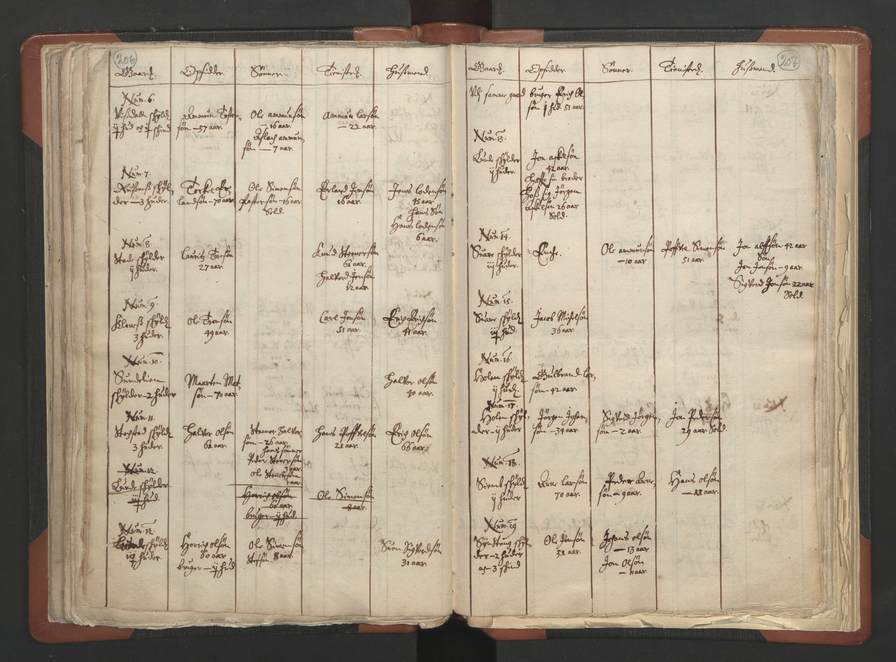 RA, Sogneprestenes manntall 1664-1666, nr. 6: Gudbrandsdal prosti, 1664-1666, s. 206-207