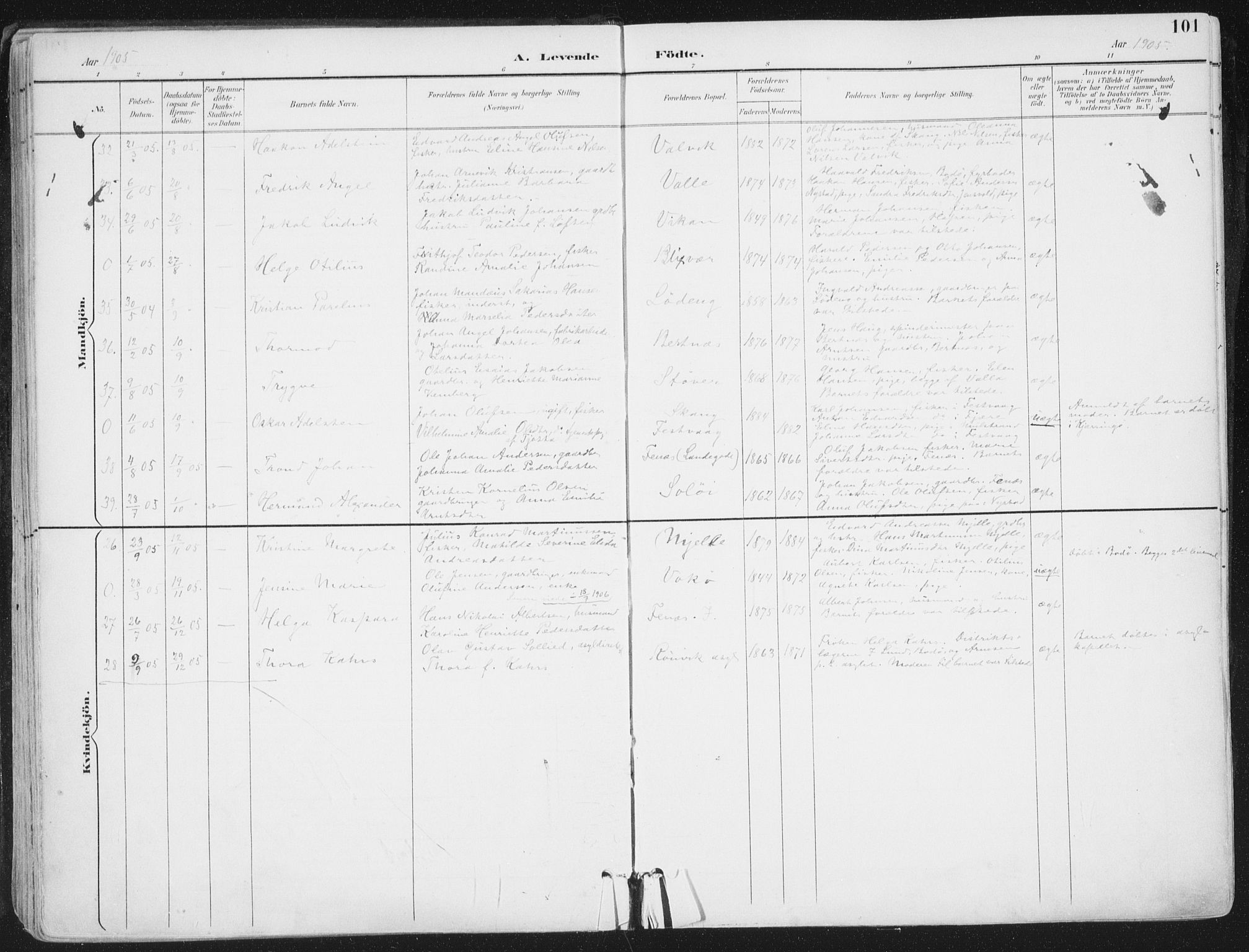 Ministerialprotokoller, klokkerbøker og fødselsregistre - Nordland, AV/SAT-A-1459/802/L0055: Ministerialbok nr. 802A02, 1894-1915, s. 101