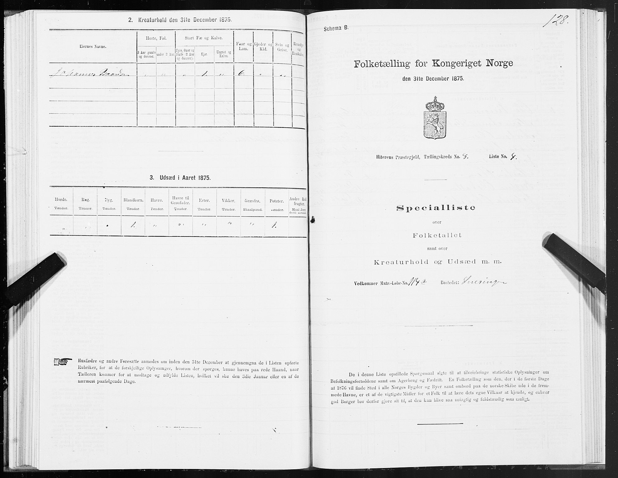 SAT, Folketelling 1875 for 1617P Hitra prestegjeld, 1875, s. 4128