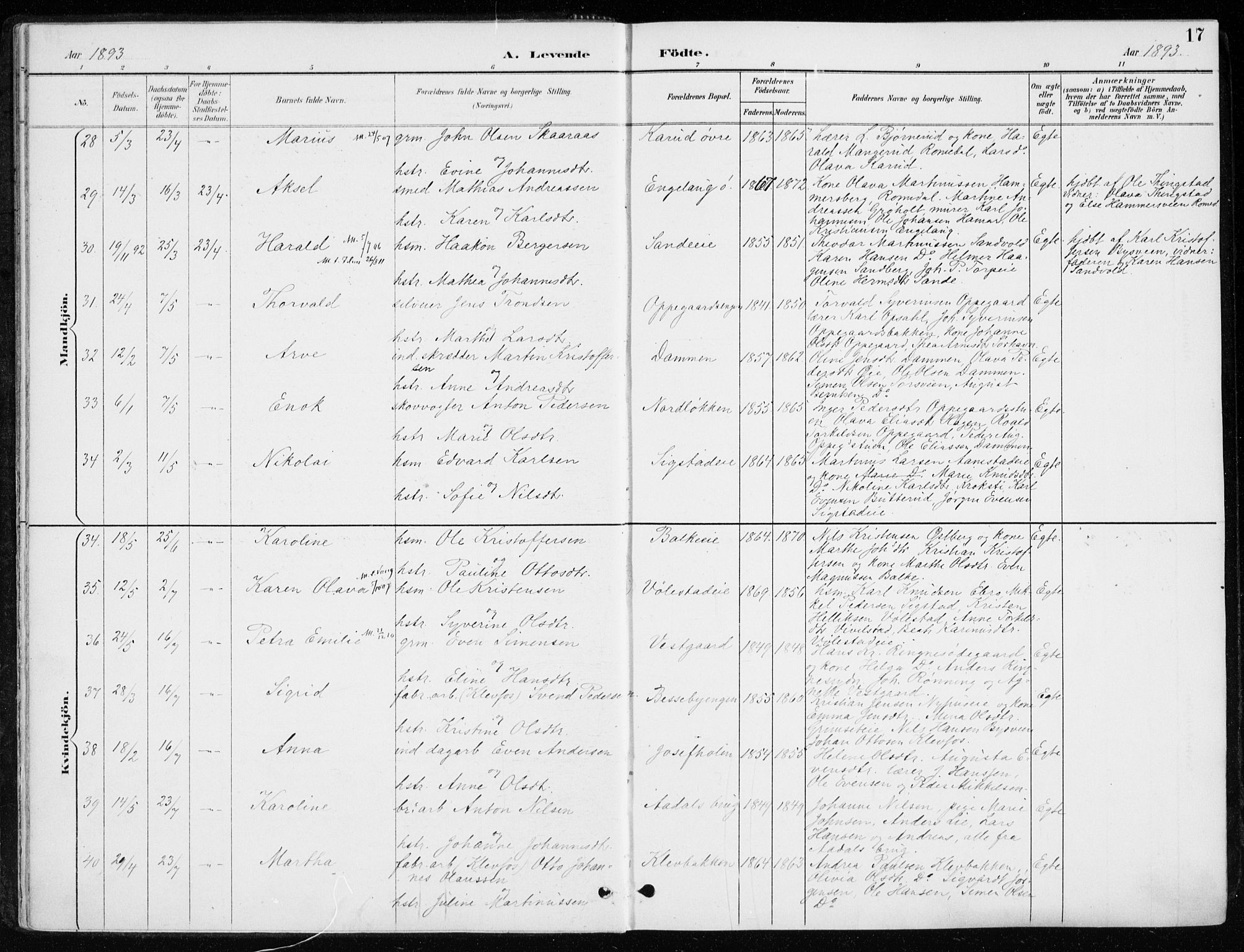 Løten prestekontor, AV/SAH-PREST-022/K/Ka/L0010: Ministerialbok nr. 10, 1892-1907, s. 17