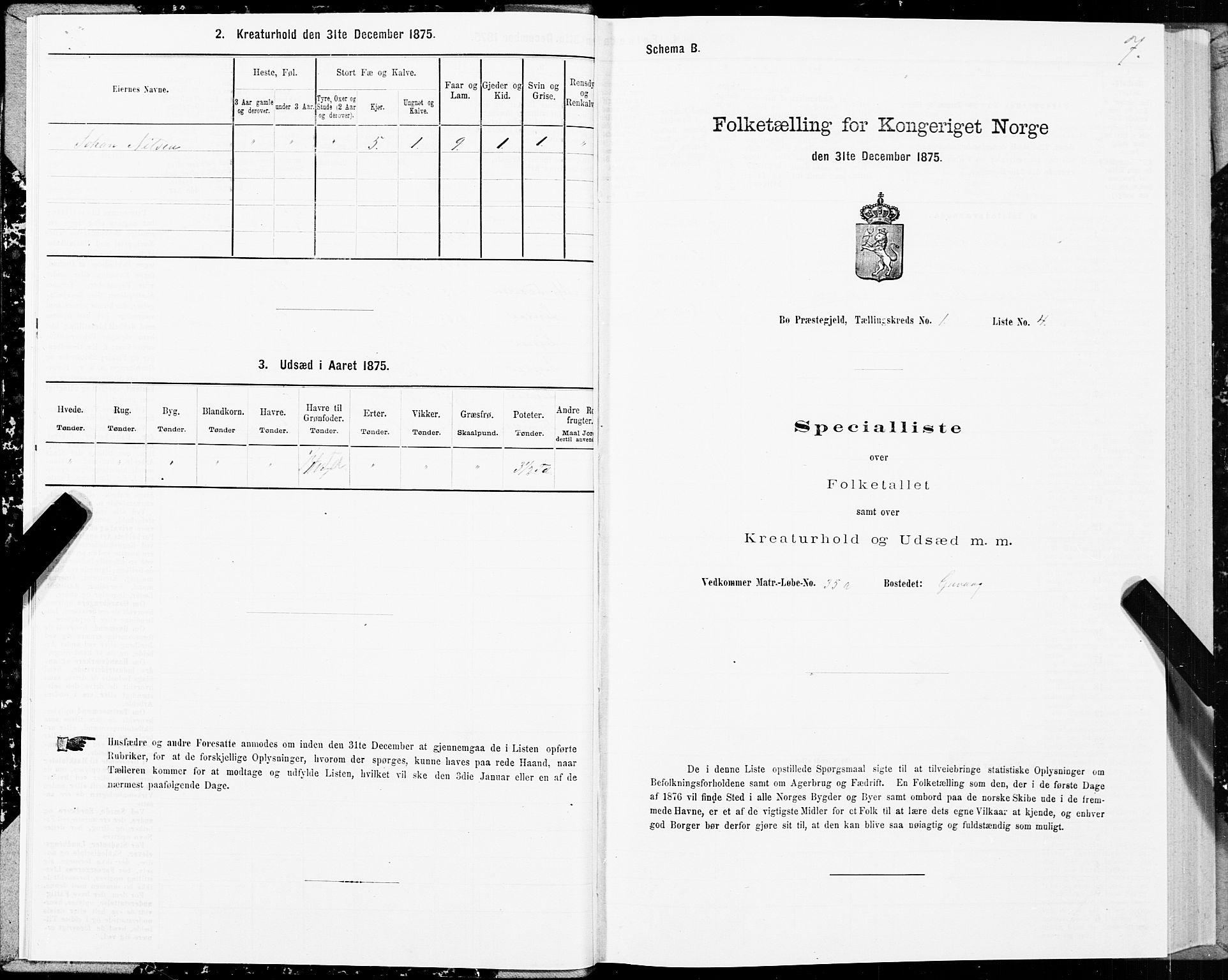 SAT, Folketelling 1875 for 1867P Bø prestegjeld, 1875, s. 1007