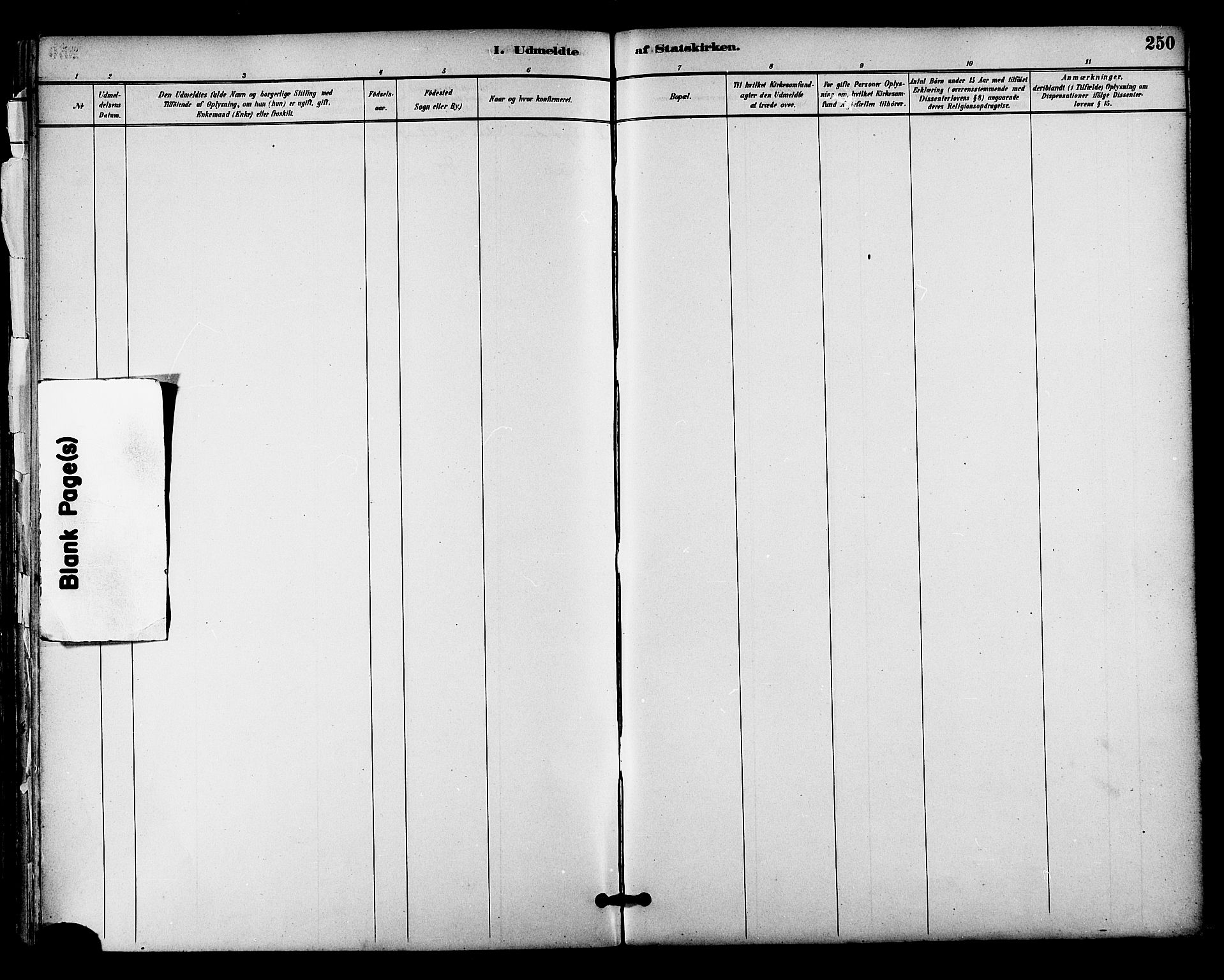 Ministerialprotokoller, klokkerbøker og fødselsregistre - Nordland, AV/SAT-A-1459/813/L0200: Ministerialbok nr. 813A10, 1886-1900, s. 250