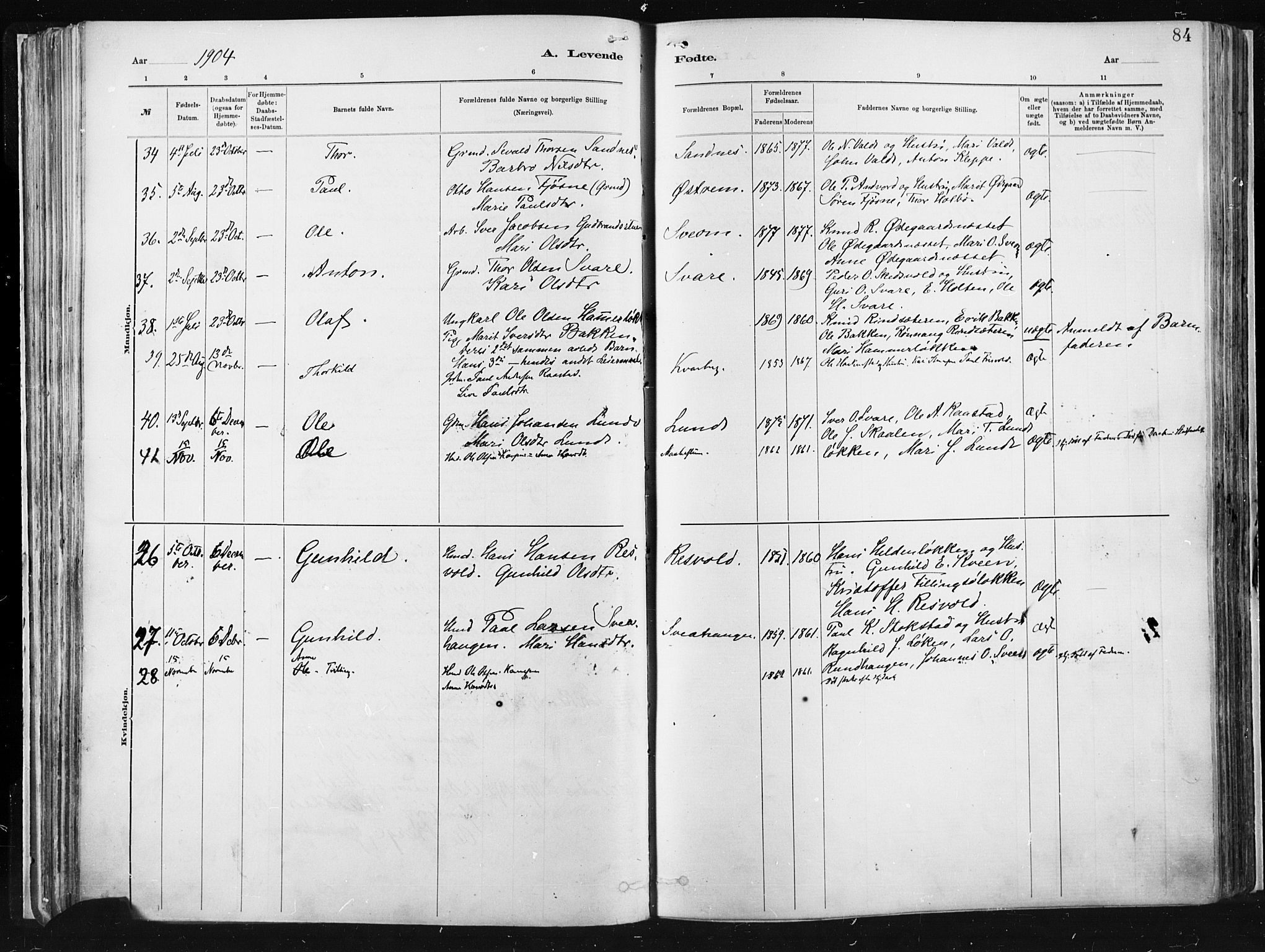 Vågå prestekontor, AV/SAH-PREST-076/H/Ha/Haa/L0009: Ministerialbok nr. 9, 1886-1904, s. 84