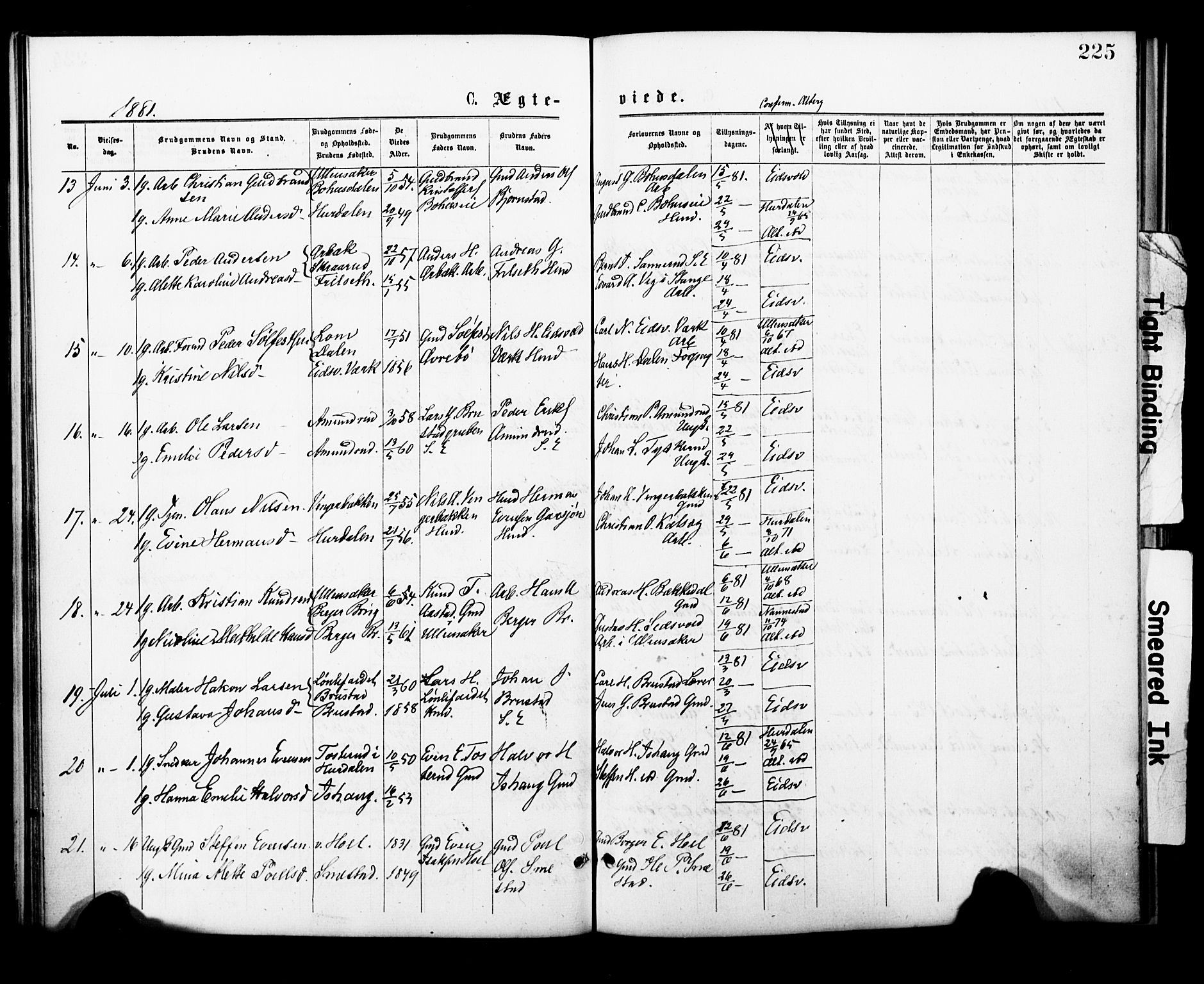Eidsvoll prestekontor Kirkebøker, AV/SAO-A-10888/F/Fa/L0001: Ministerialbok nr. I 1, 1877-1881, s. 225