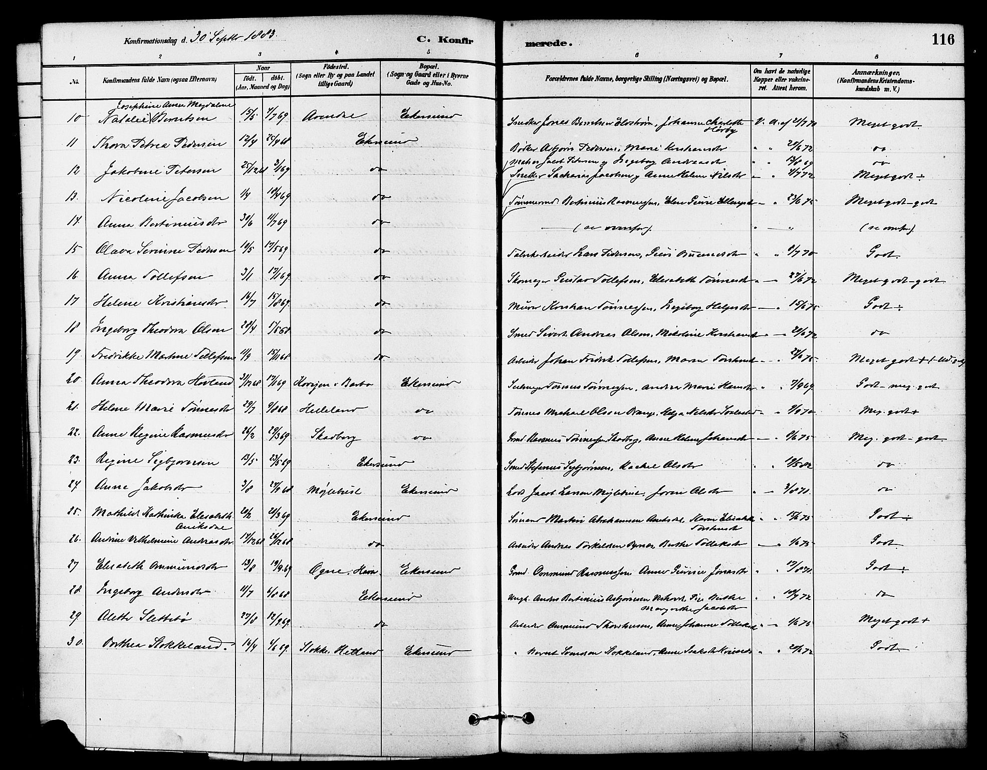 Eigersund sokneprestkontor, SAST/A-101807/S08/L0015: Ministerialbok nr. A 15, 1879-1892, s. 116