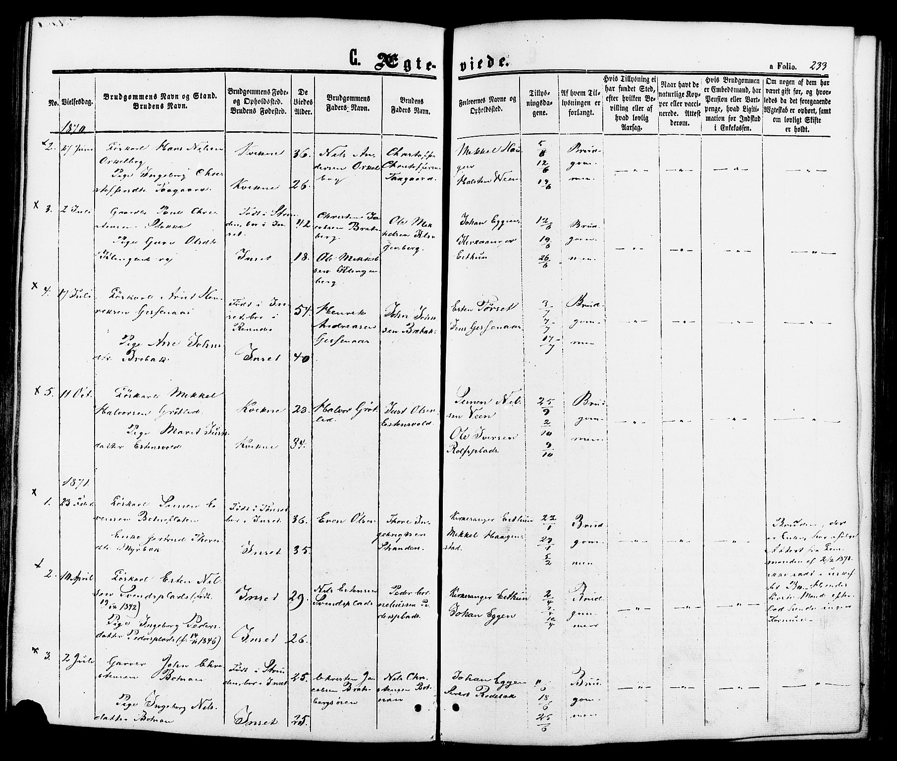 Kvikne prestekontor, AV/SAH-PREST-064/H/Ha/Haa/L0006: Ministerialbok nr. 6, 1863-1886, s. 233