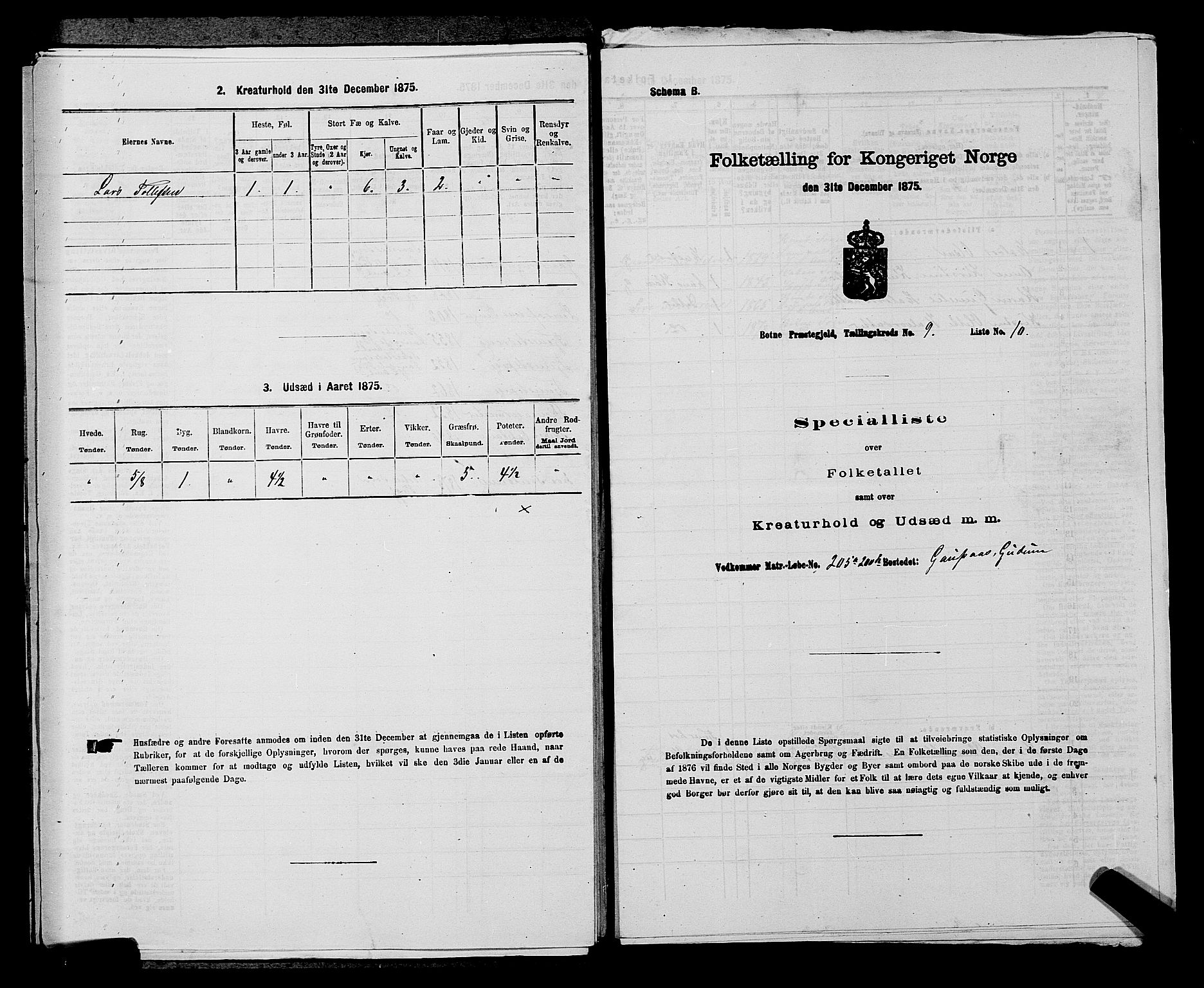 SAKO, Folketelling 1875 for 0715P Botne prestegjeld, 1875, s. 738