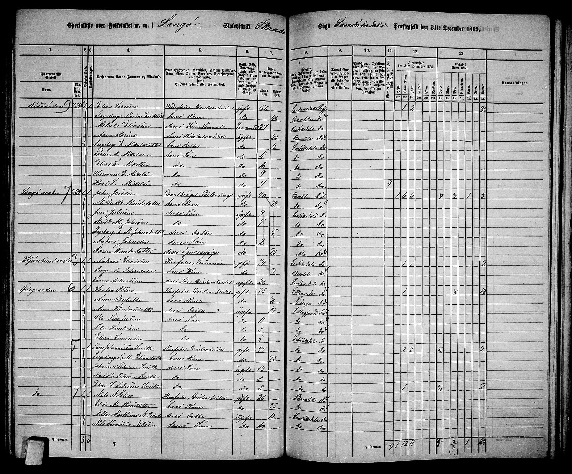 RA, Folketelling 1865 for 0816L Kragerø prestegjeld, Sannidal sokn og Skåtøy sokn, 1865, s. 172