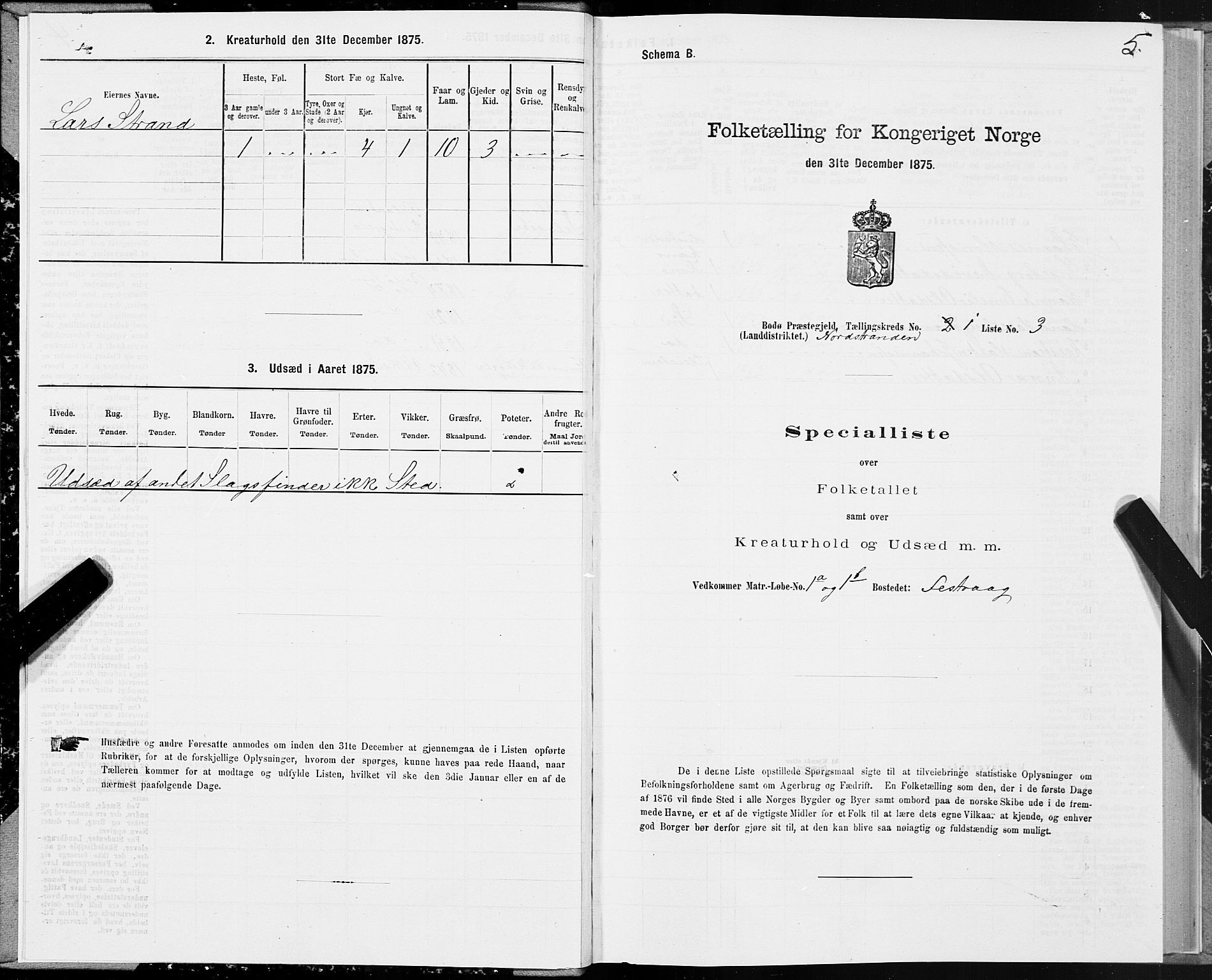 SAT, Folketelling 1875 for 1843L Bodø prestegjeld, Bodø landsokn, 1875, s. 1005