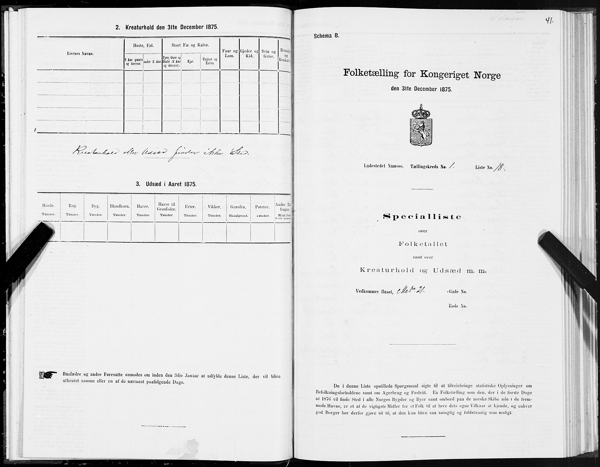 SAT, Folketelling 1875 for 1703B Namsos prestegjeld, Namsos ladested, 1875, s. 41