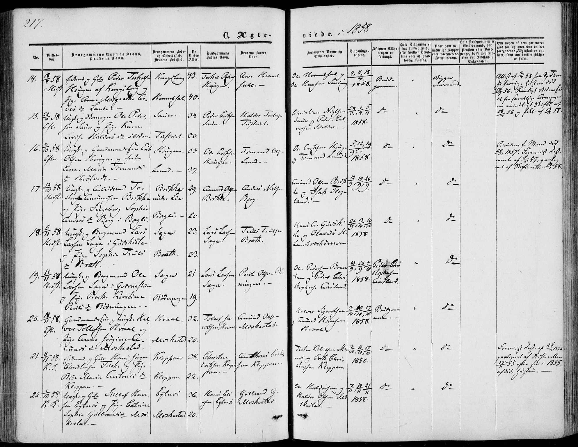 Sandsvær kirkebøker, AV/SAKO-A-244/F/Fa/L0006: Ministerialbok nr. I 6, 1857-1868, s. 217