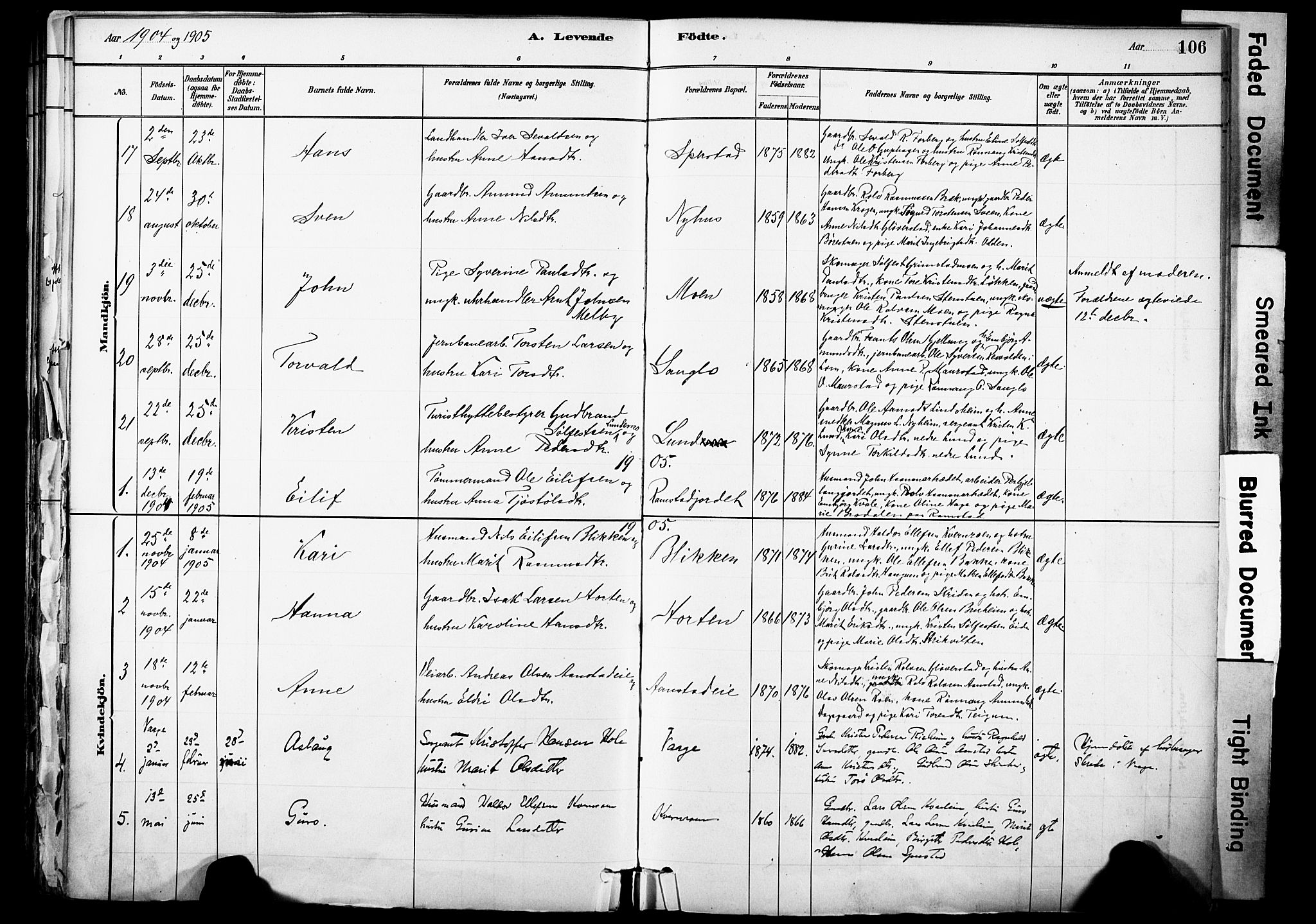 Skjåk prestekontor, AV/SAH-PREST-072/H/Ha/Haa/L0003: Ministerialbok nr. 3, 1880-1907, s. 106