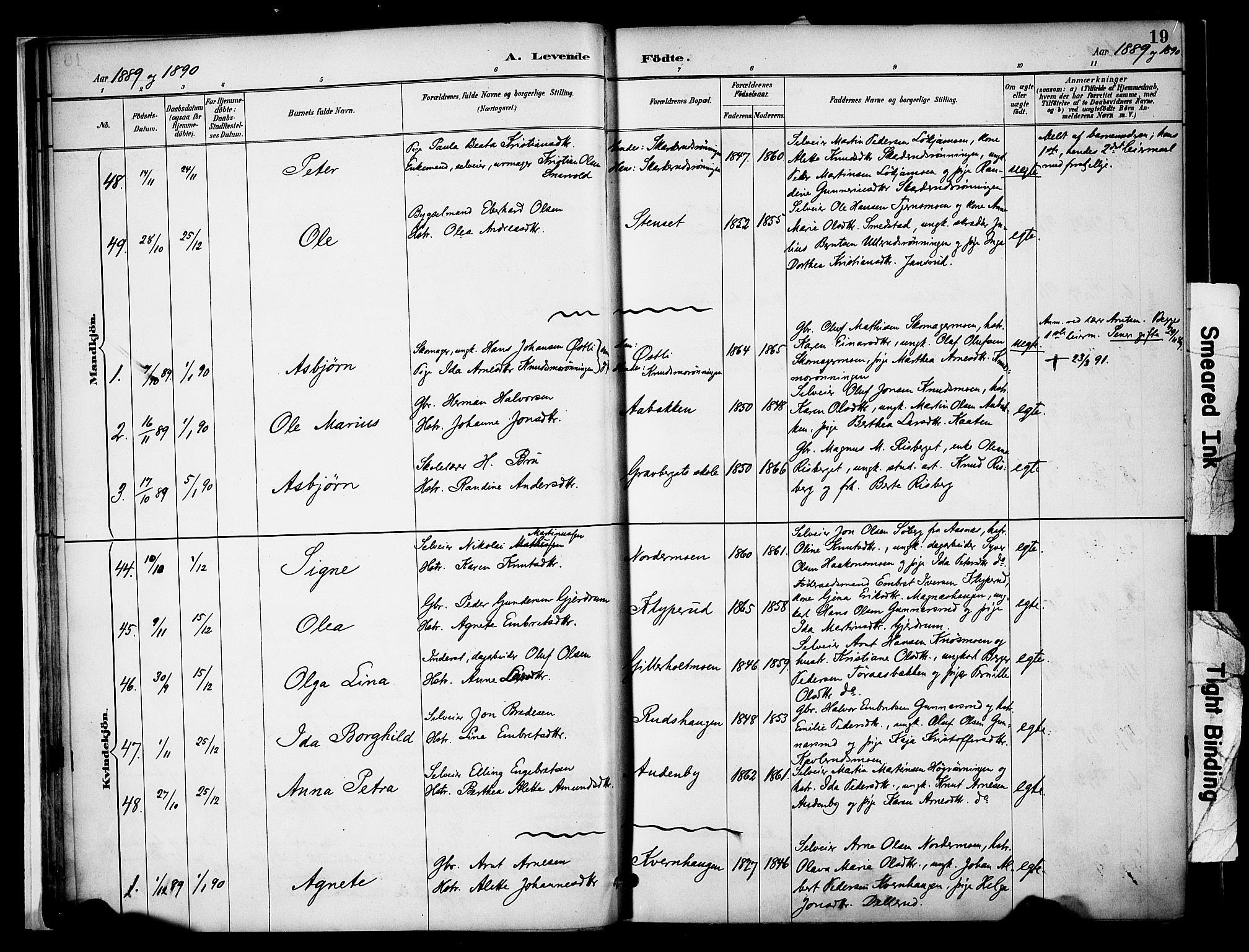 Våler prestekontor, Hedmark, AV/SAH-PREST-040/H/Ha/Haa/L0005: Ministerialbok nr. 5, 1887-1905, s. 19