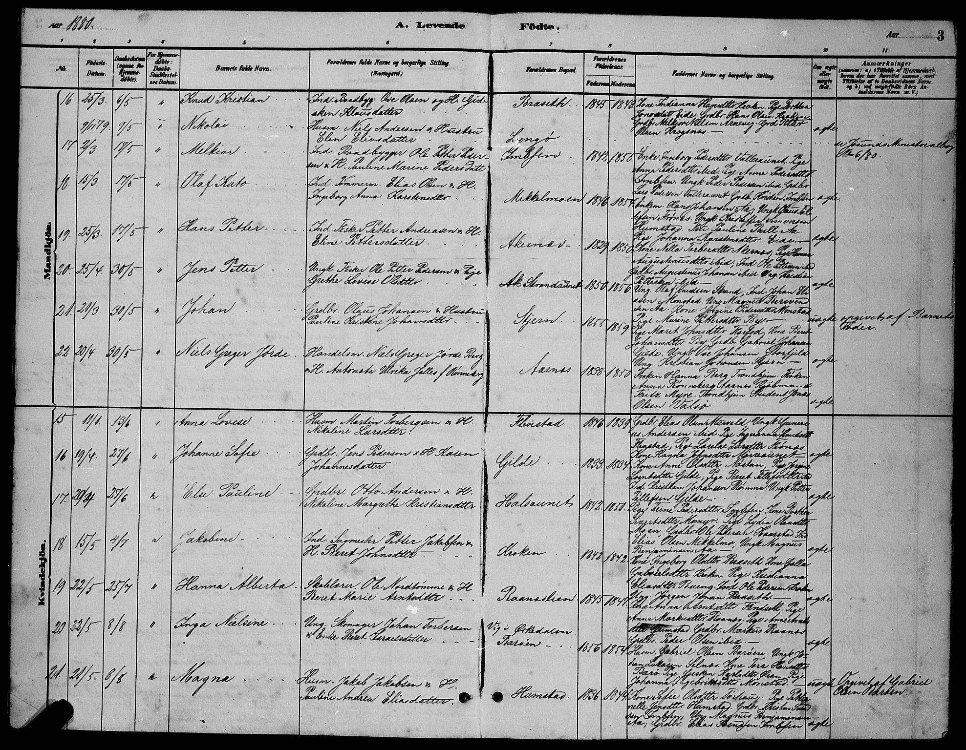 Ministerialprotokoller, klokkerbøker og fødselsregistre - Sør-Trøndelag, SAT/A-1456/655/L0687: Klokkerbok nr. 655C03, 1880-1898, s. 3