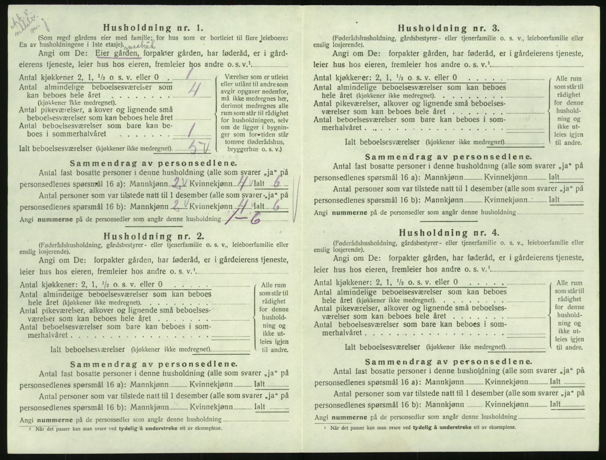 SAK, Folketelling 1920 for 0936 Hornnes herred, 1920, s. 136