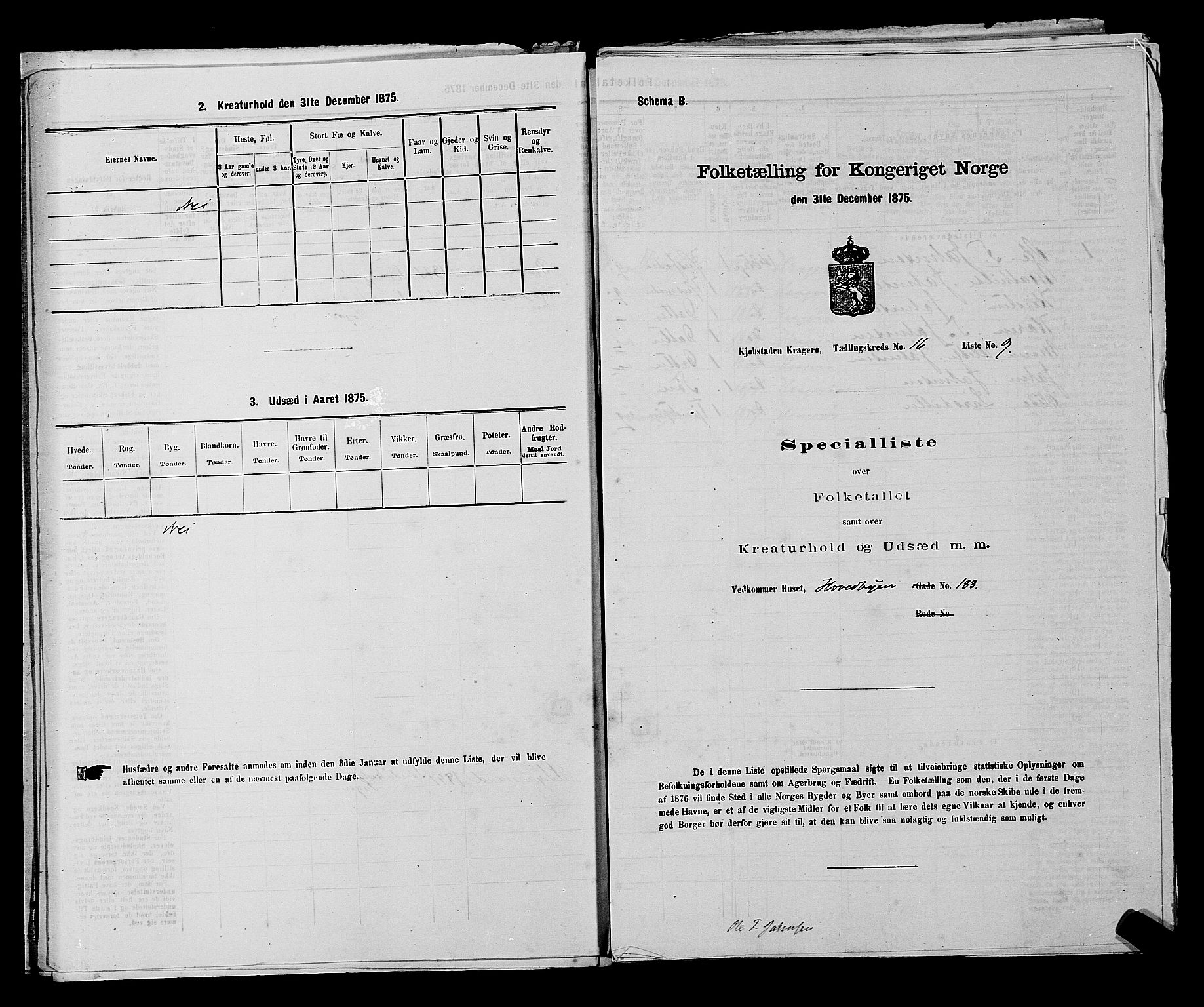 SAKO, Folketelling 1875 for 0801P Kragerø prestegjeld, 1875, s. 355