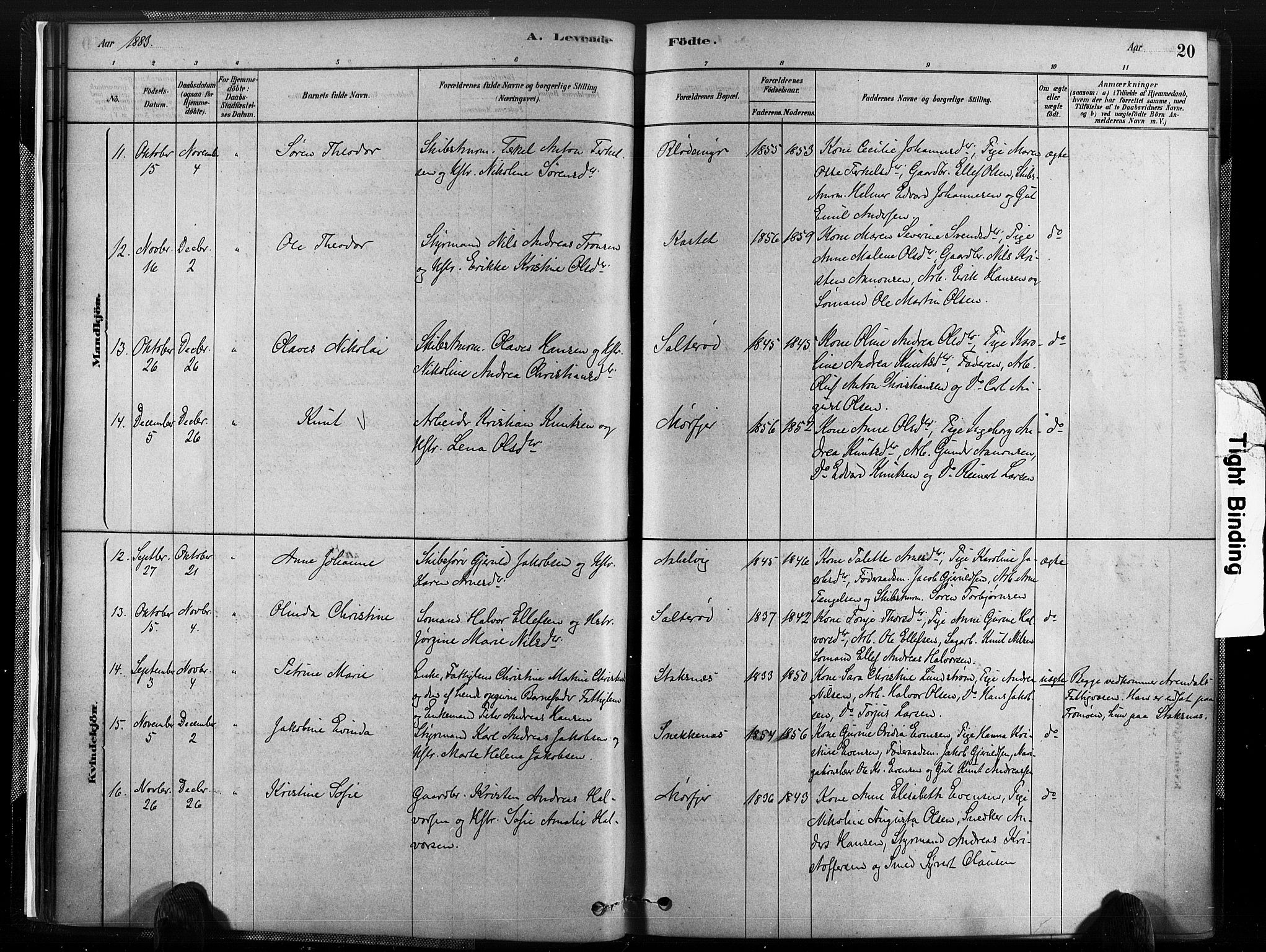 Austre Moland sokneprestkontor, AV/SAK-1111-0001/F/Fa/Fab/L0001: Ministerialbok nr. A 1, 1878-1898, s. 20