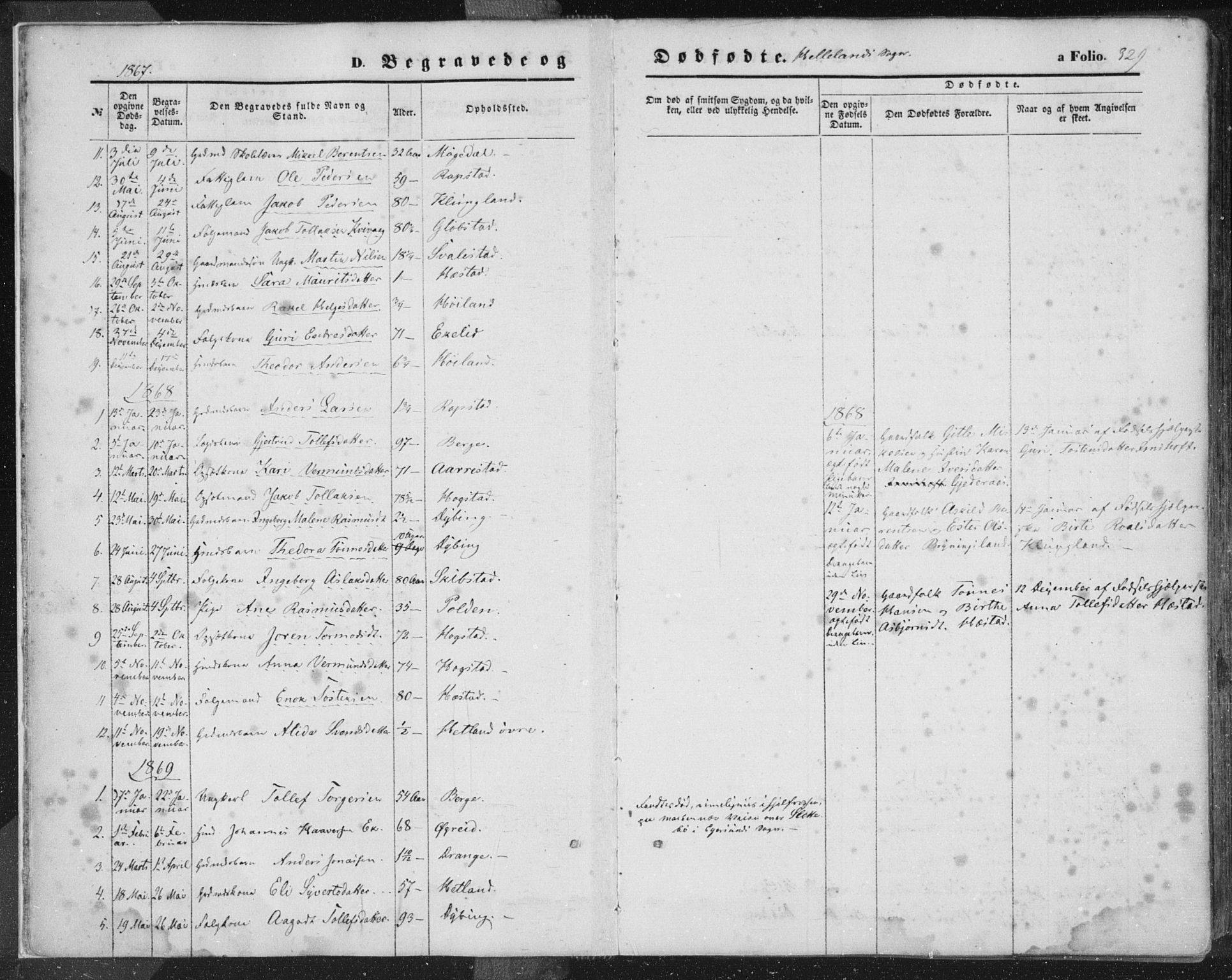 Helleland sokneprestkontor, SAST/A-101810: Ministerialbok nr. A 7.2, 1863-1886, s. 329